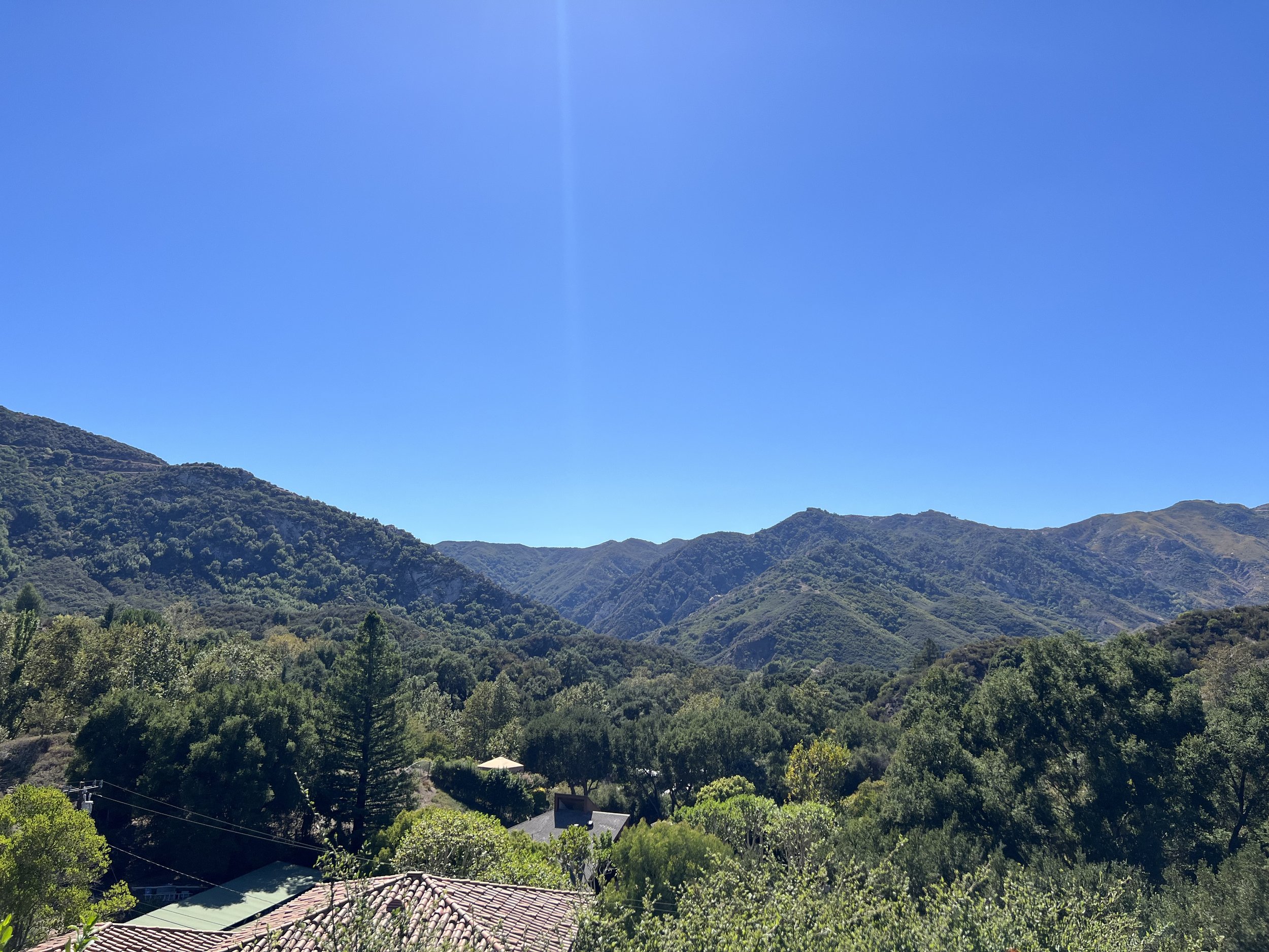 IMG_3386.jpeg
