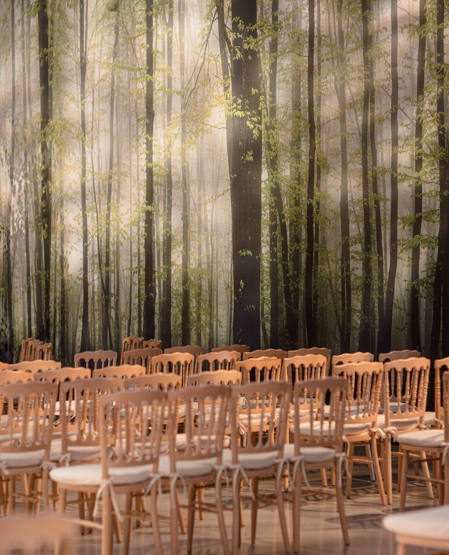 Throwback to this ceremony setting that incorporated all that's wild &amp; wonderful to create an ethereal indoor scene. ⁠
⁠
Planning: #apotheosisevents⁠
Venue: @glasshouses.nyc⁠
Design &amp; Decor: @davidbeahm⁠
Draping: @drapekings⁠
Lighting and AV: