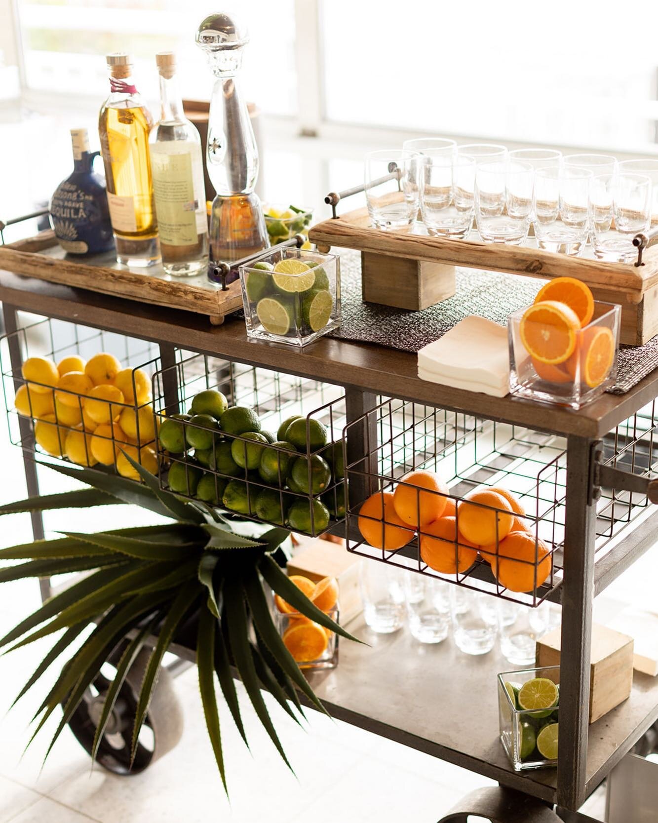 A sensational, citrusy cocktail cart for the win. Nothing but the freshest for @davidbeahm's 25th anniversary celebration! 🍋🍊

Planning: @ApotheosisEvents⁠
Design and Decor: @davidbeahm ⁠
Venue and Catering: @thepiersixtycollection ⁠
Photography: @