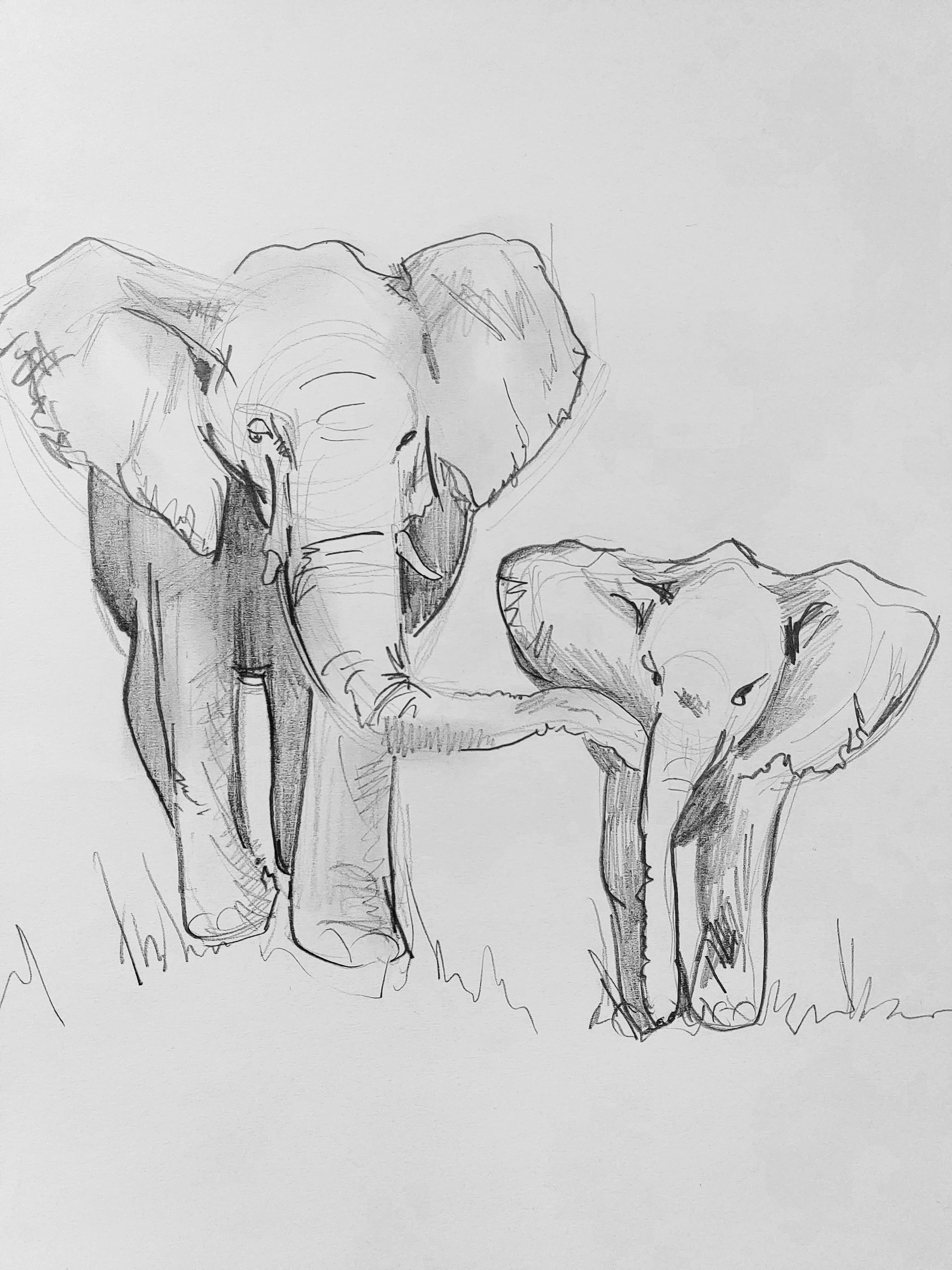 Pencil Sketch Elephants