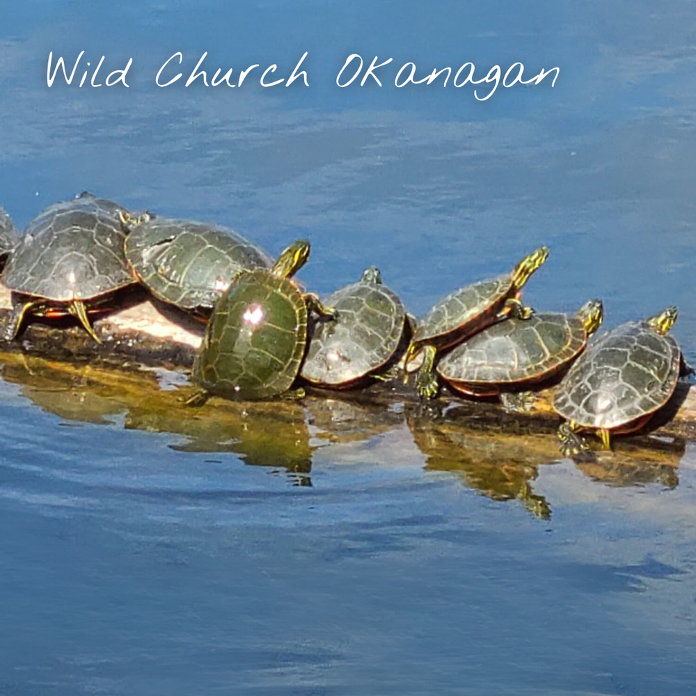 Wild Church Okanagan