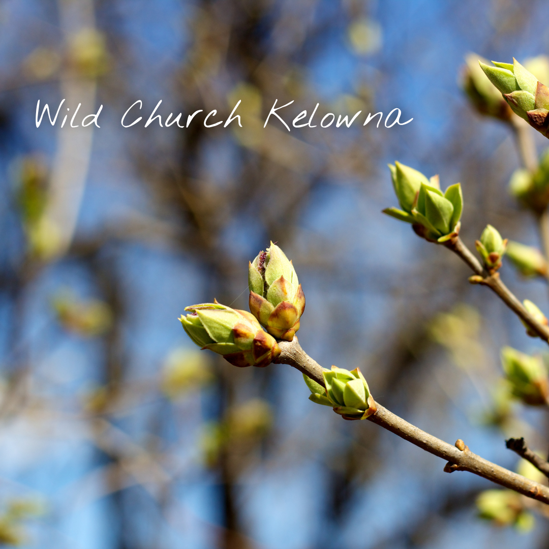 Wild Church Kelowna 