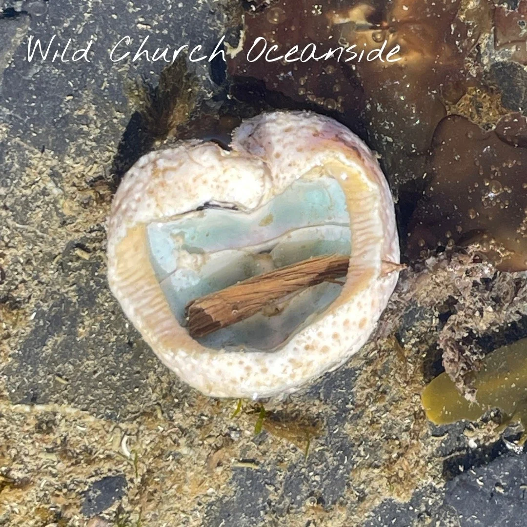 Oceanside Wild Church 