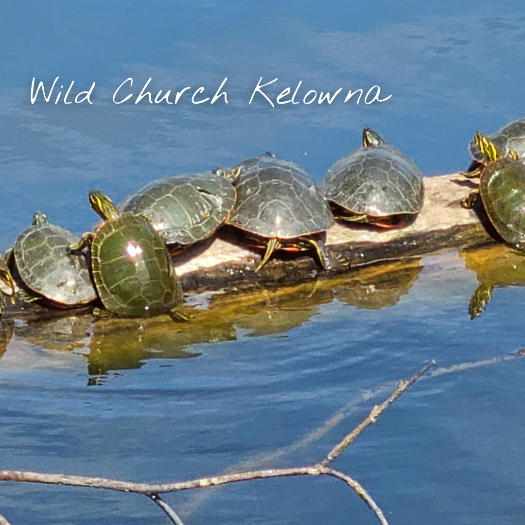 Wild Church Kelowna 