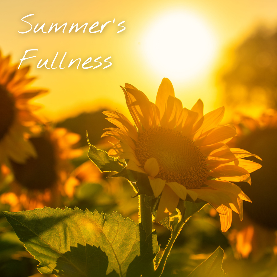 Summer's Fullness: Harvesting Hope in a Changing World