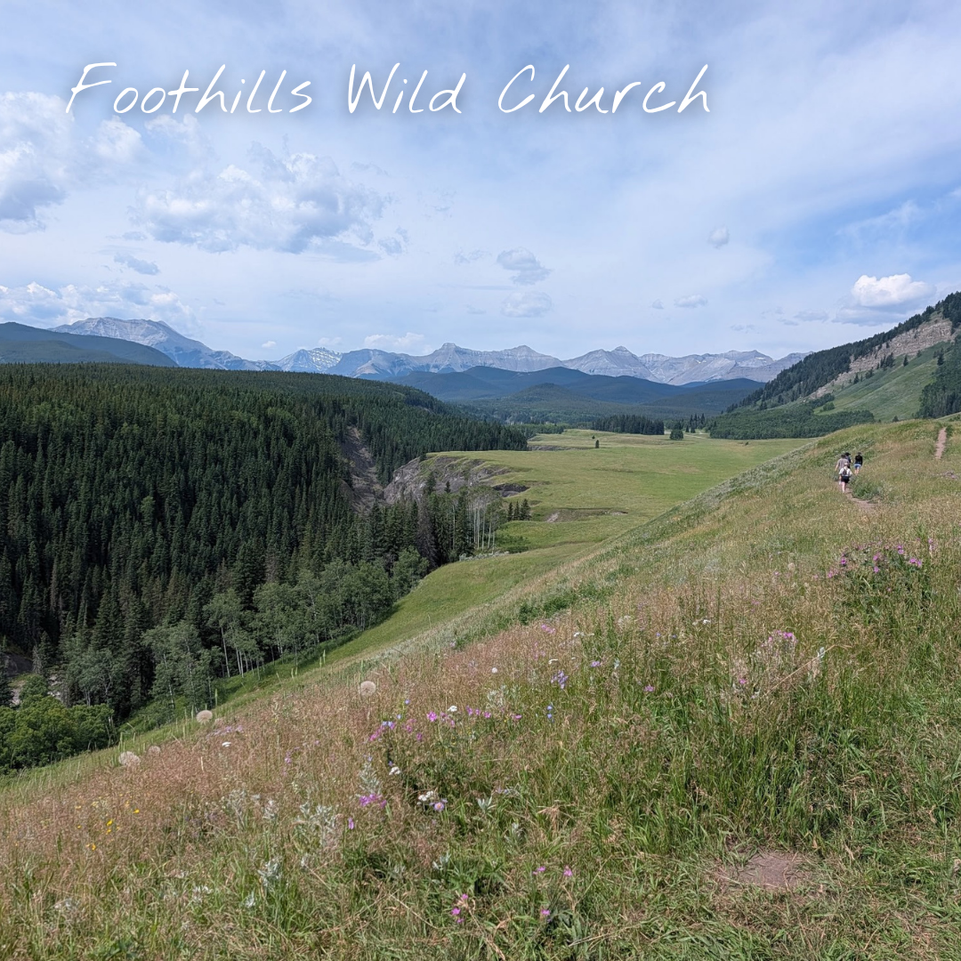 Foothills Wild Church 