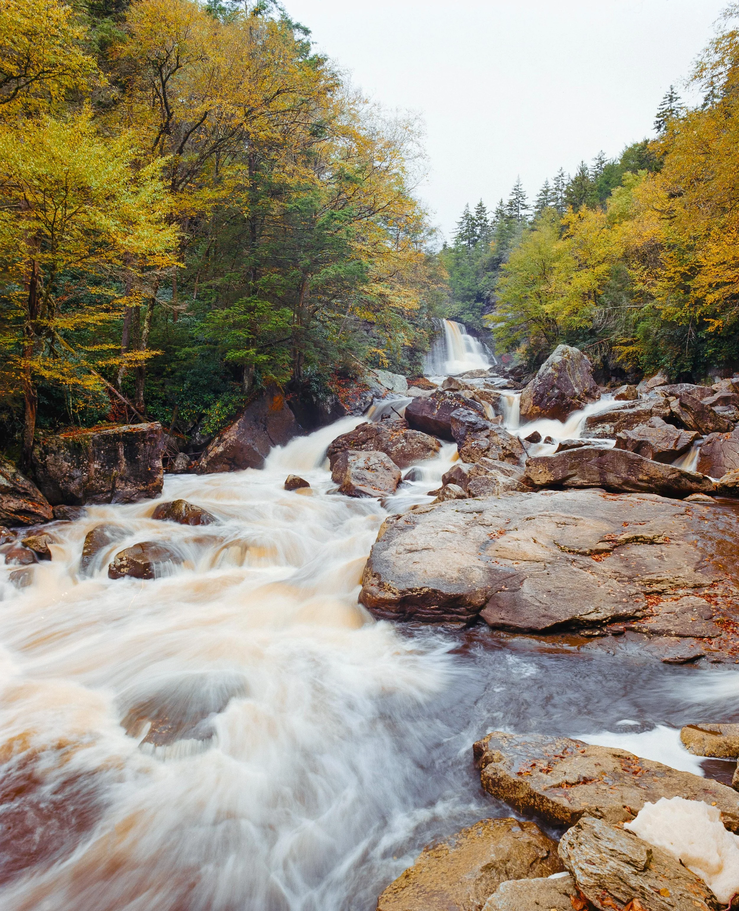 20250104BlackwaterFallsEktar1.jpeg