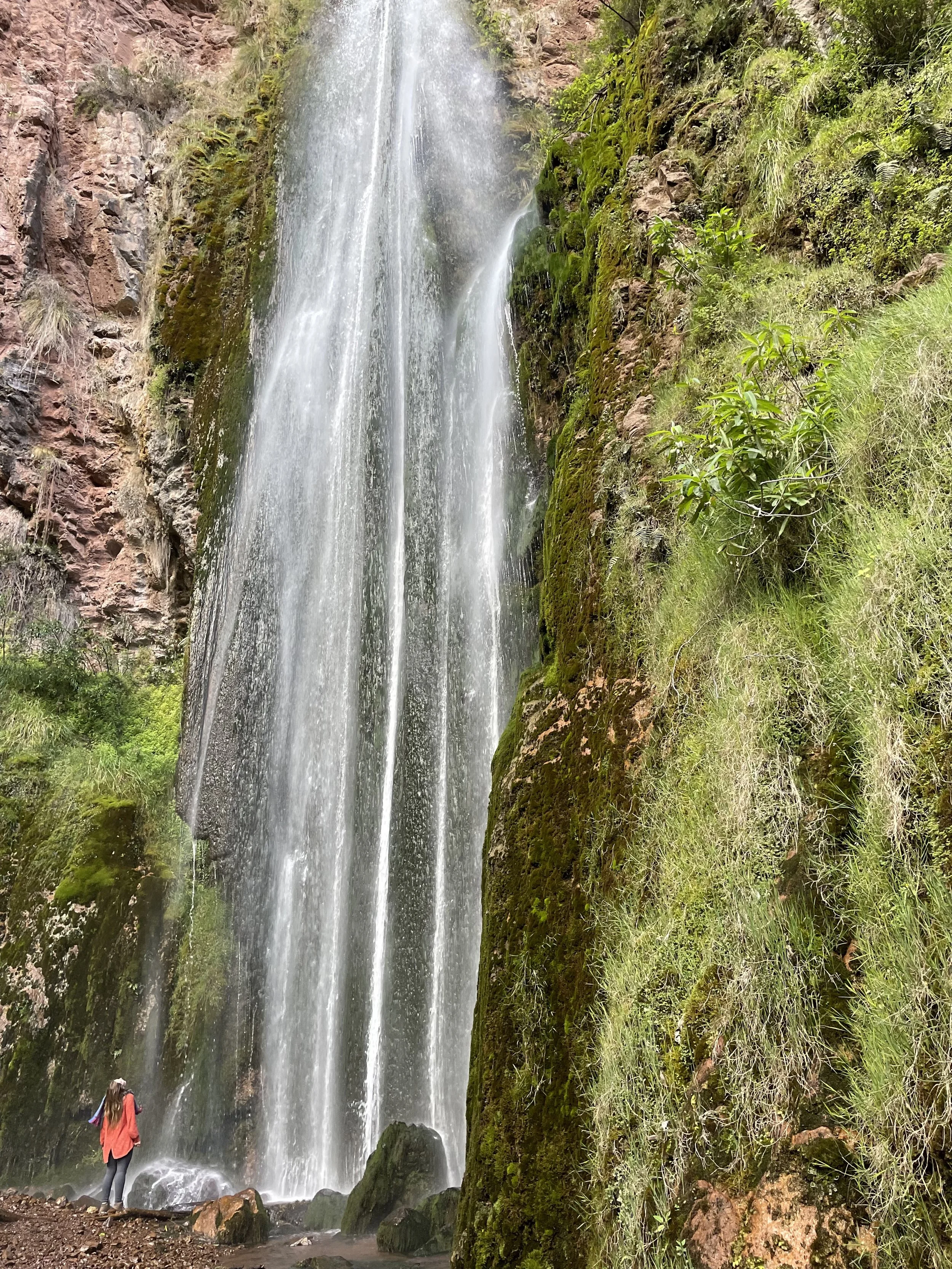 FullSizeRender 2.jpeg