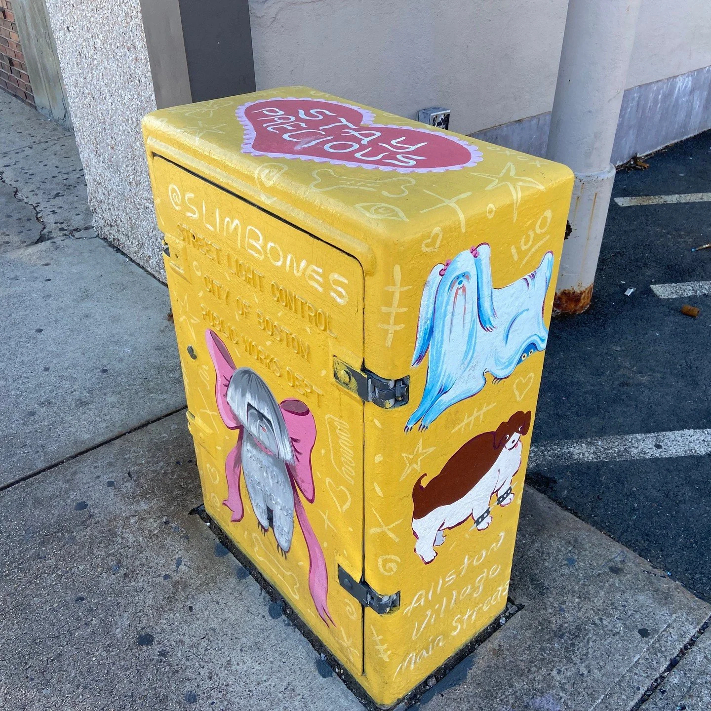 This fall has been a busy one for our &quot;Art Box&quot; program in which amazing local artists beautify utility boxes in Allston Village.
Today we want to highlight this new and adorable Art Box painted by Simone Nemes (@slimbones__ )
The design ce