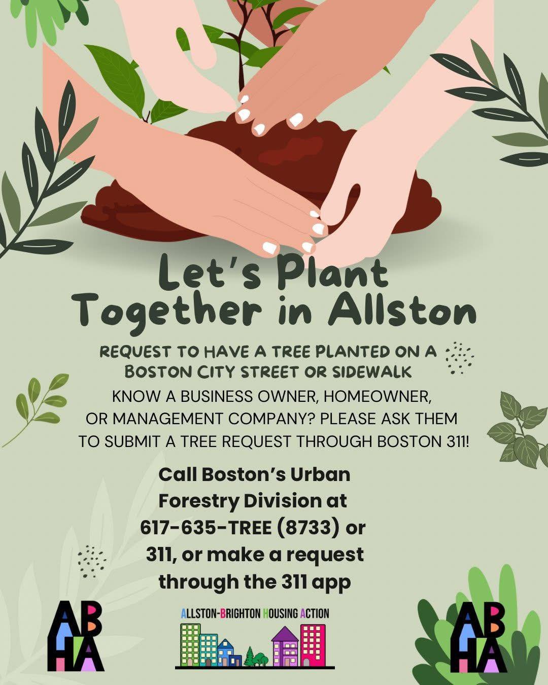 Did you know you can request to have a new tree planted in front of your house, apartment, or business? If you want more shade around your neighborhood, just make a 311 request or call 617-635-8733 and once it's determined that it's a viable location