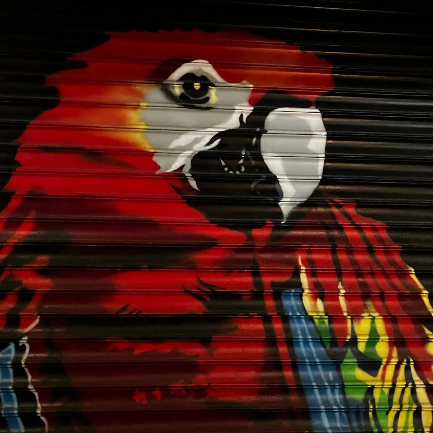 Fresh new refurbished macaw and goldfish murals by the great @greggbmurals at the Pet Shop! A part of our Murals in Motion program helping to brighten up Allston!