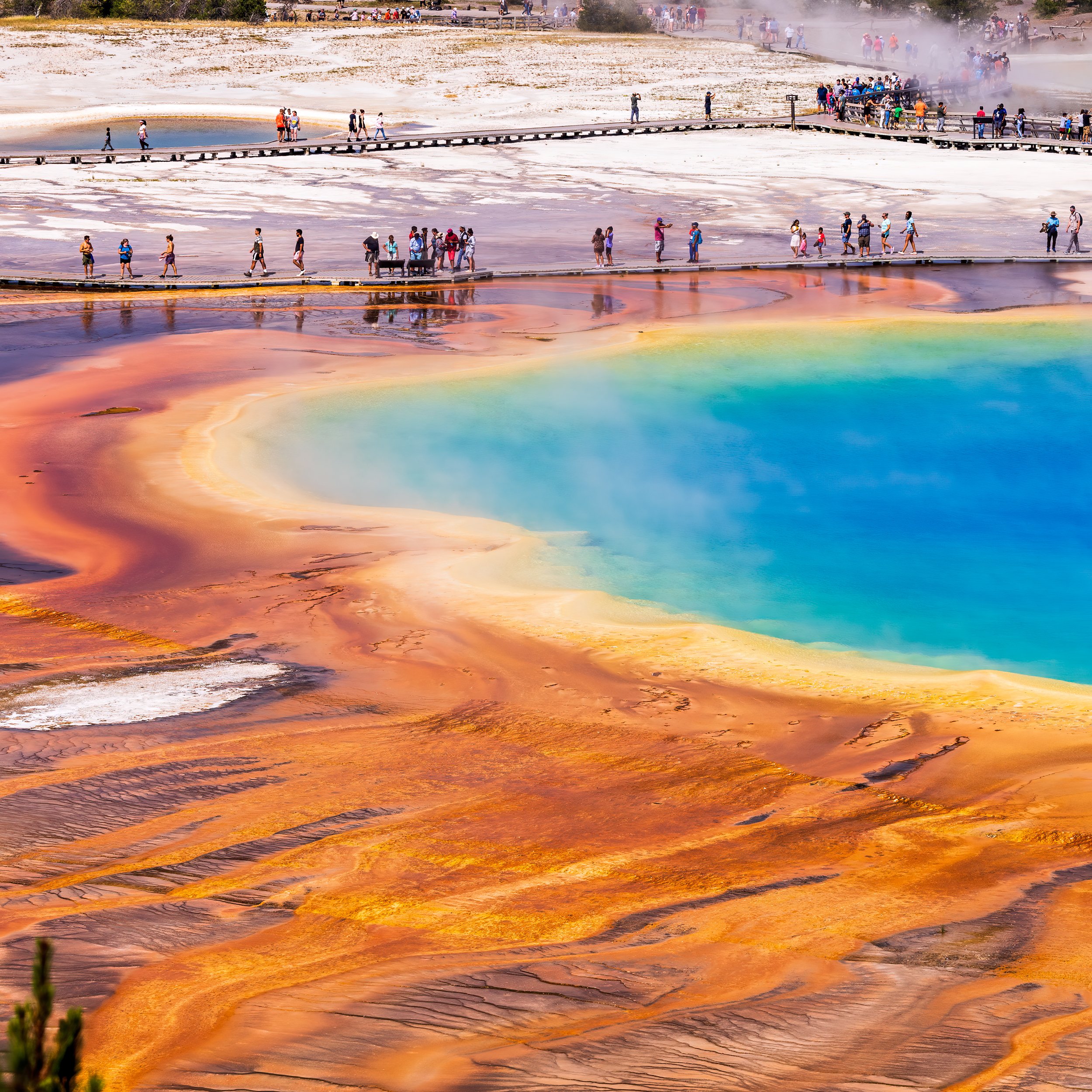 Colored Bacteria of the Grand Prismatic Basin, Yellowstone, Wyoming