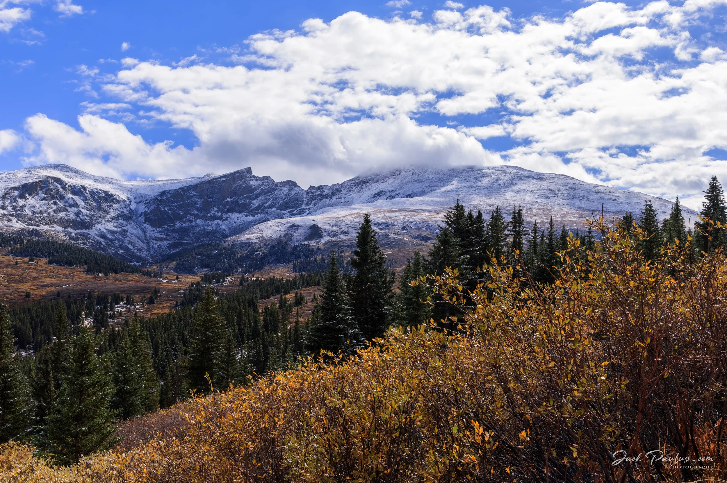 Guanella Pass (11,669 ft)