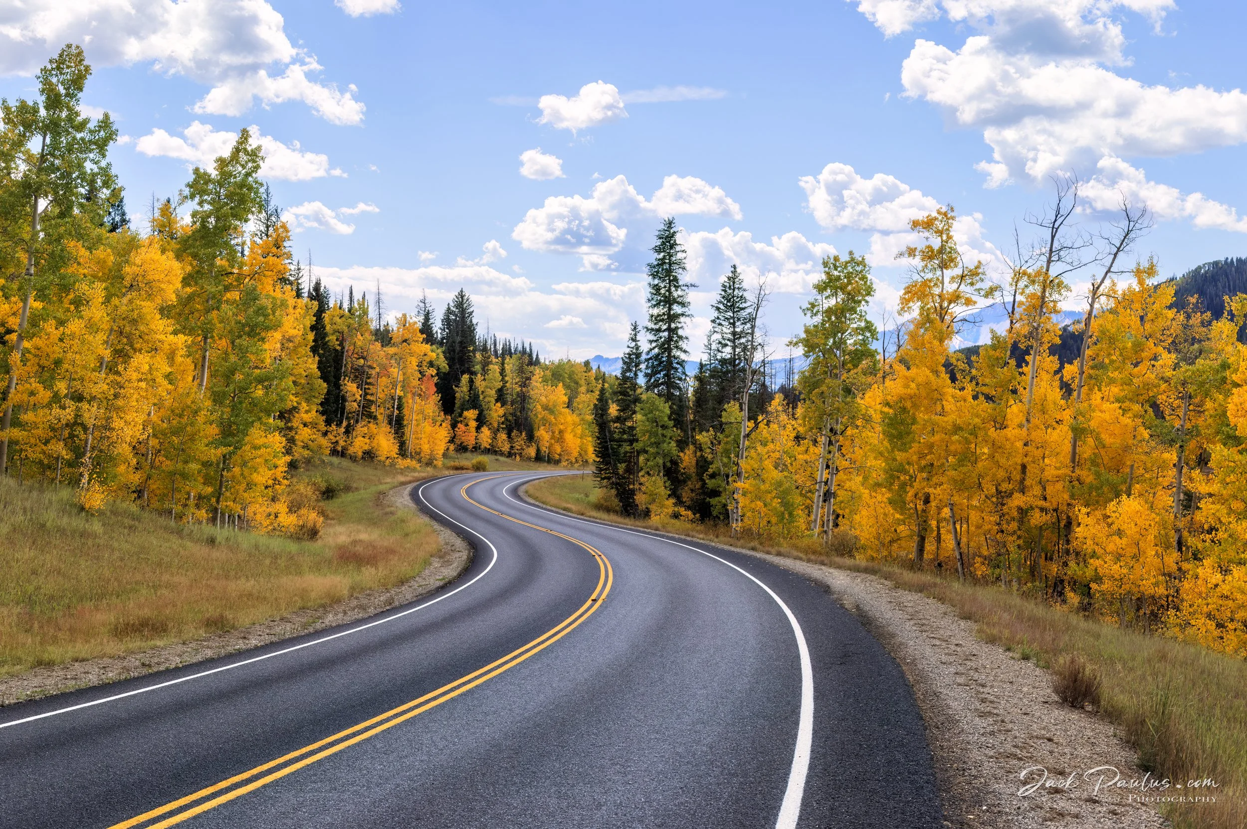 Random Road at a High Elevation