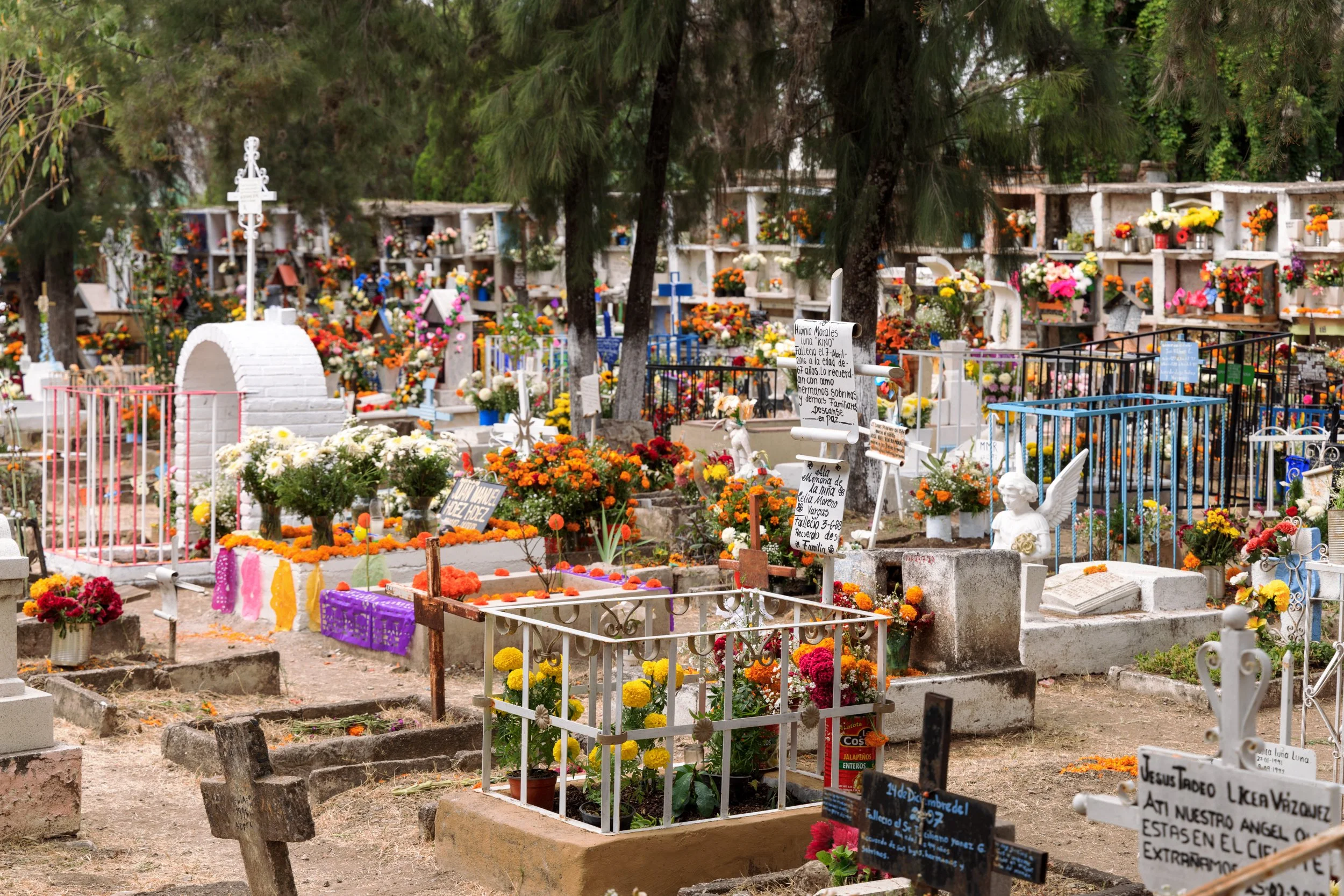 dia_de_muertos_sma_cemetary_20221103_087.jpeg