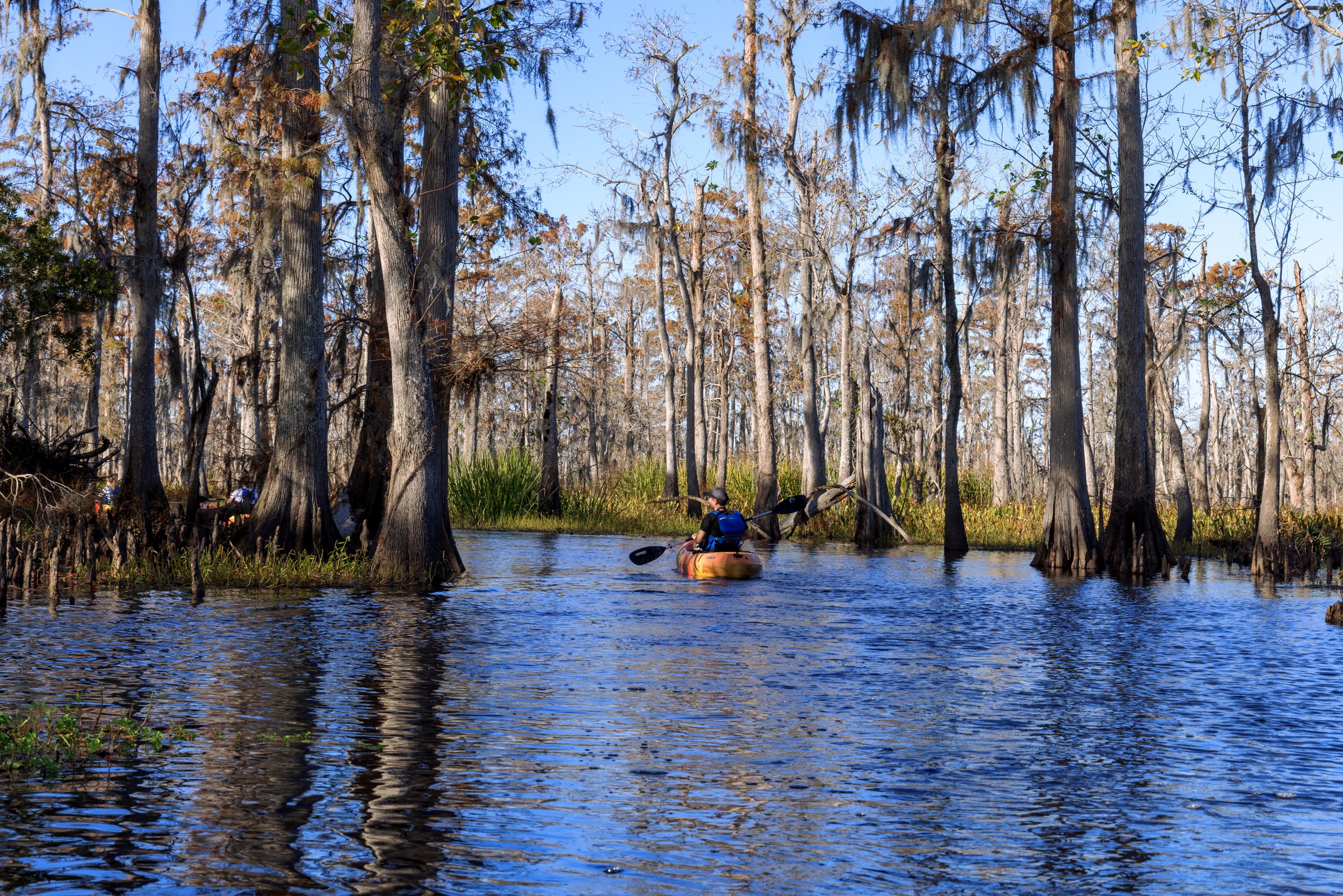 new_orleans_swamp_kayak_20221130_056.jpeg