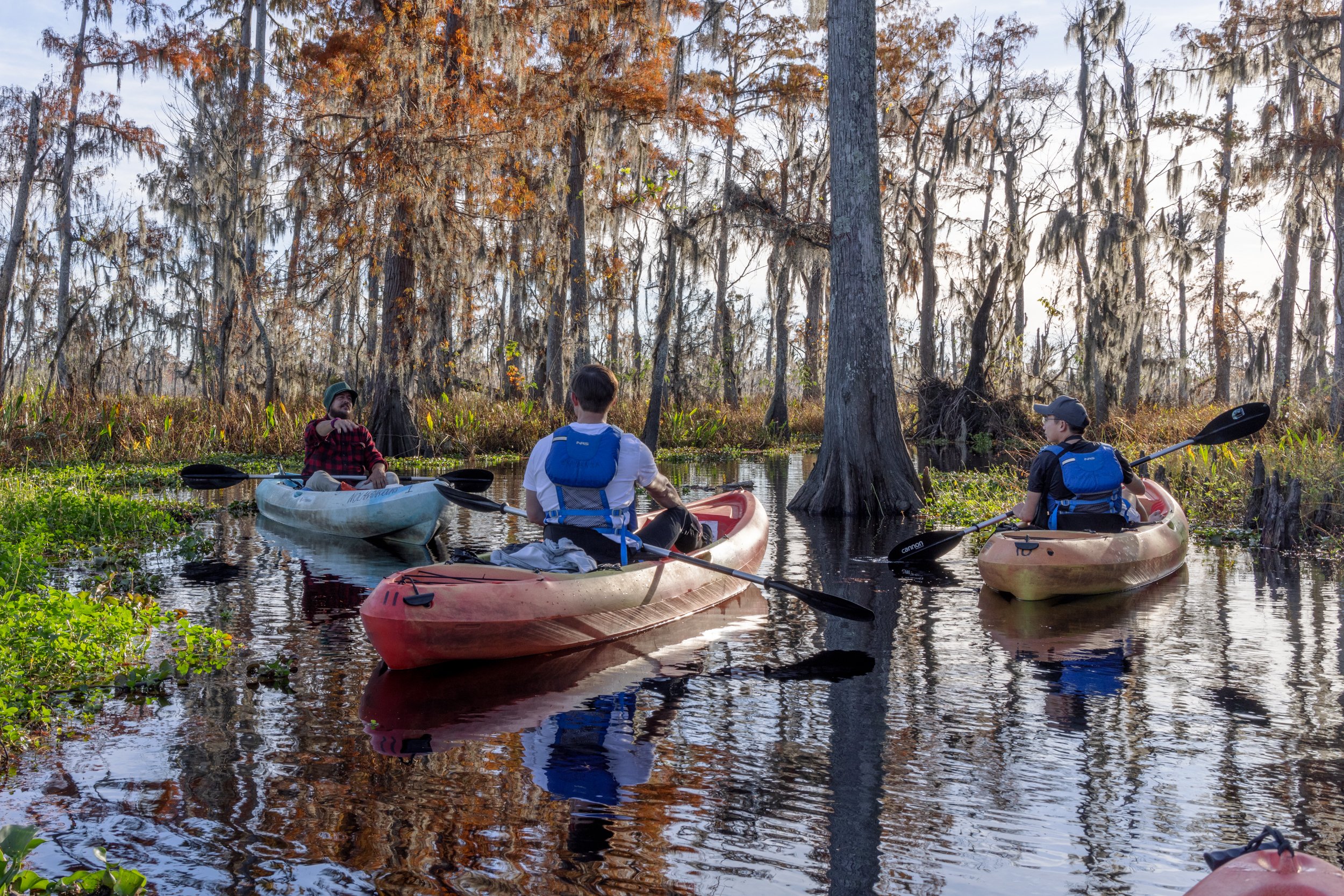 new_orleans_swamp_kayak_20221130_044.jpeg