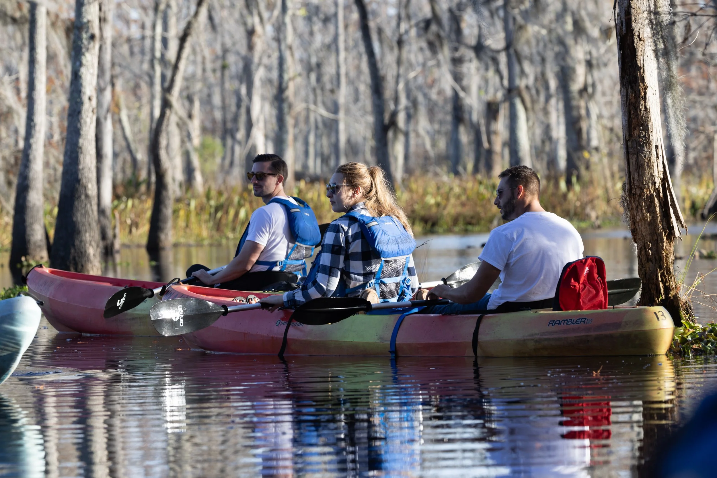 new_orleans_swamp_kayak_20221130_036.jpeg