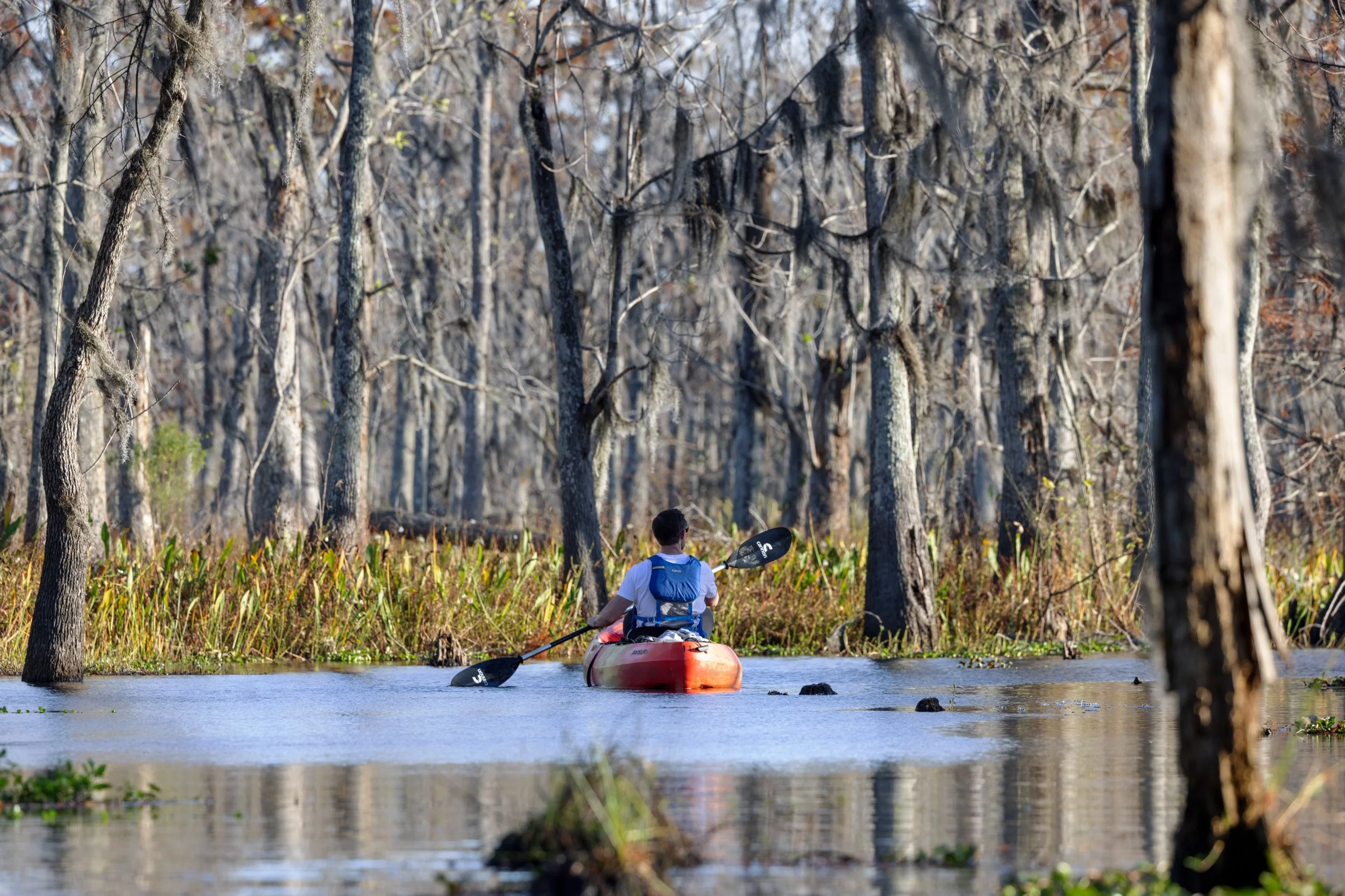 new_orleans_swamp_kayak_20221130_032.jpeg