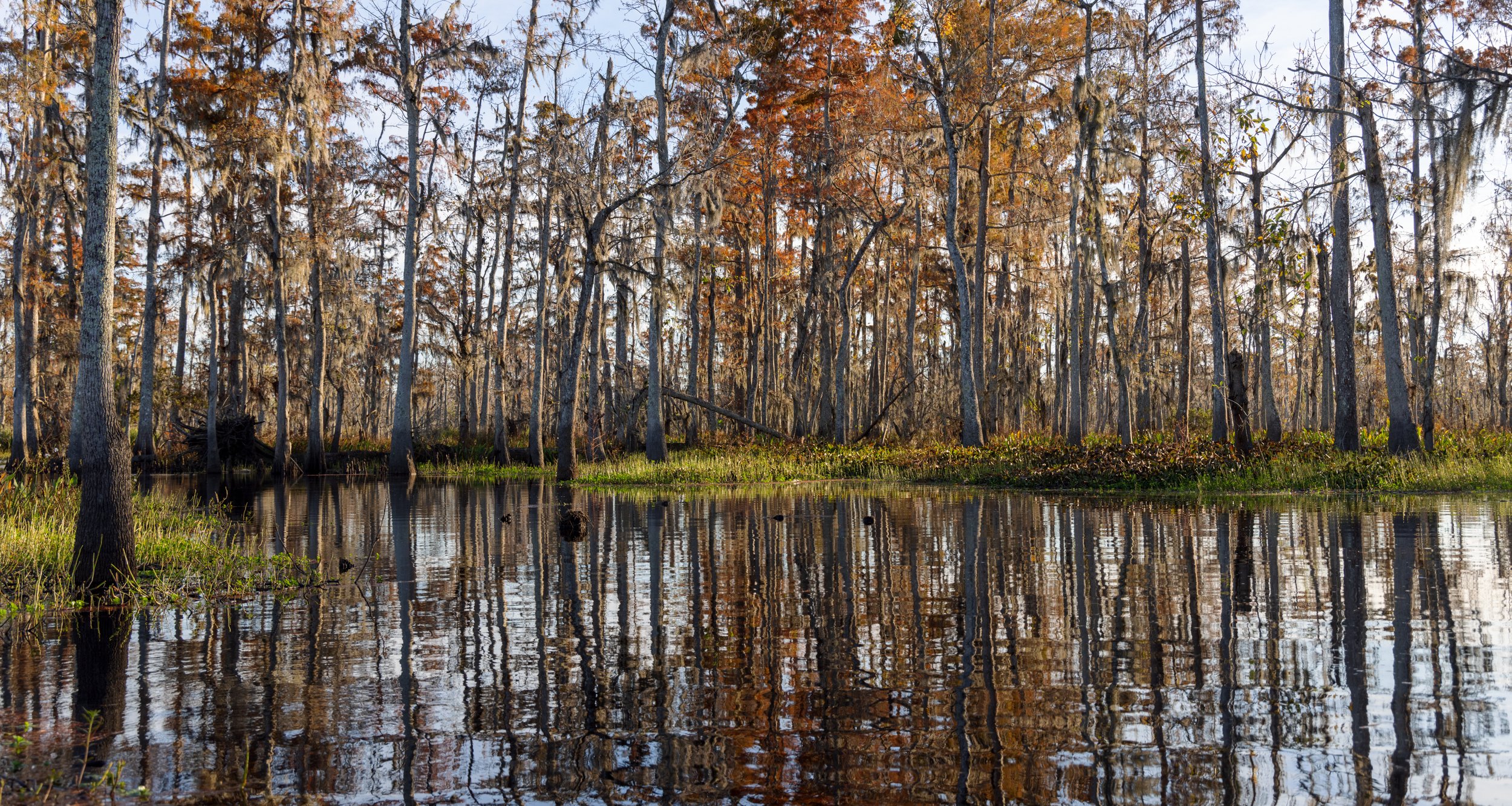 new_orleans_swamp_kayak_20221130_012.jpeg