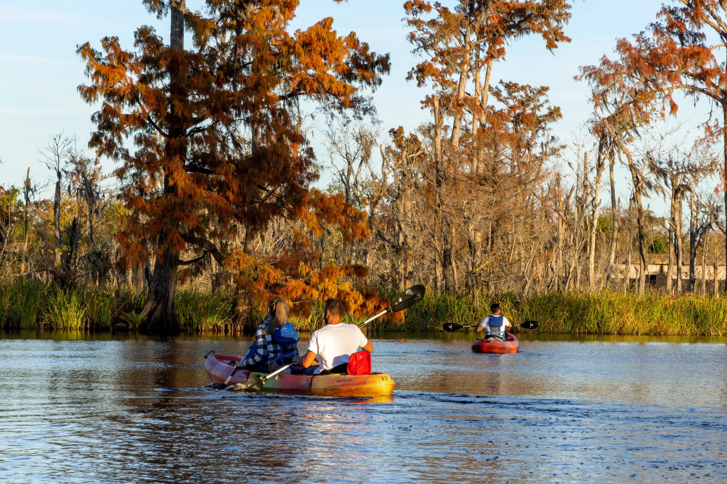 new_orleans_swamp_kayak_20221130_002.jpeg