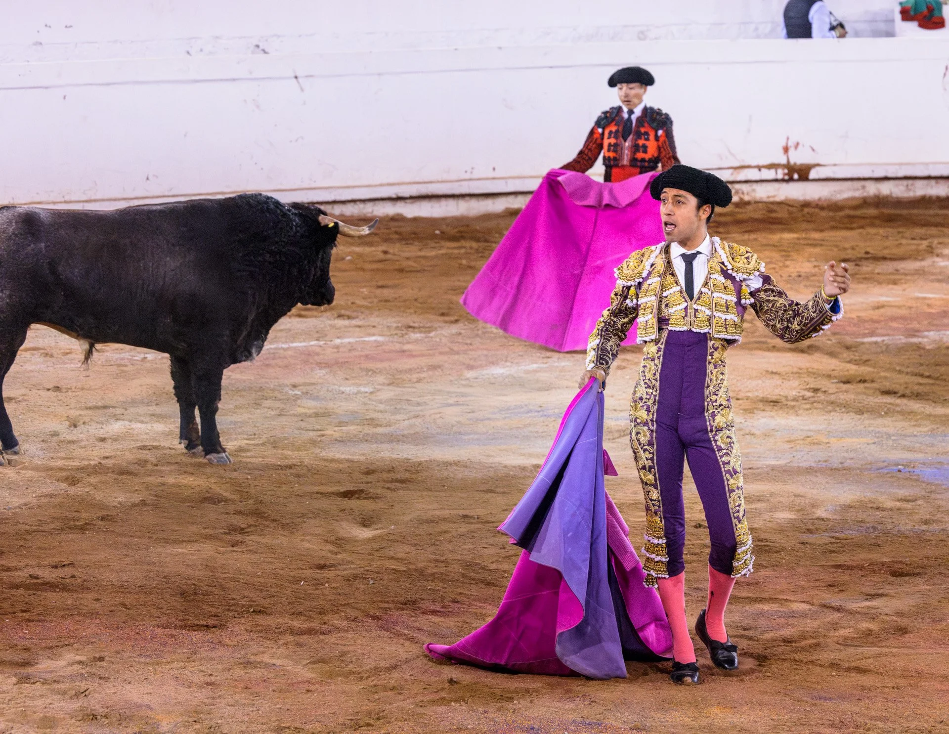 20230929 Plaza de Toros bullfight SMA 197-Enhanced-NR.jpeg