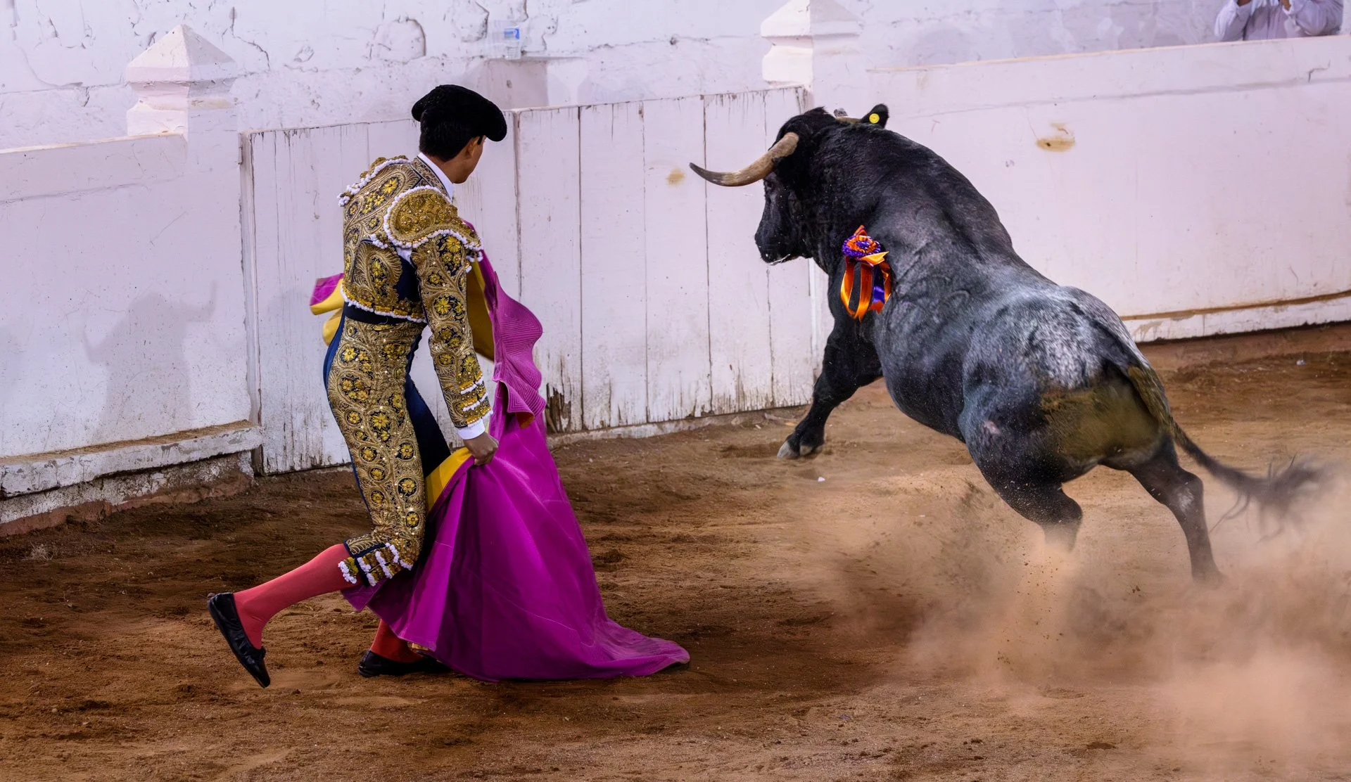20230929 Plaza de Toros bullfight SMA 158-Enhanced-NR.jpeg