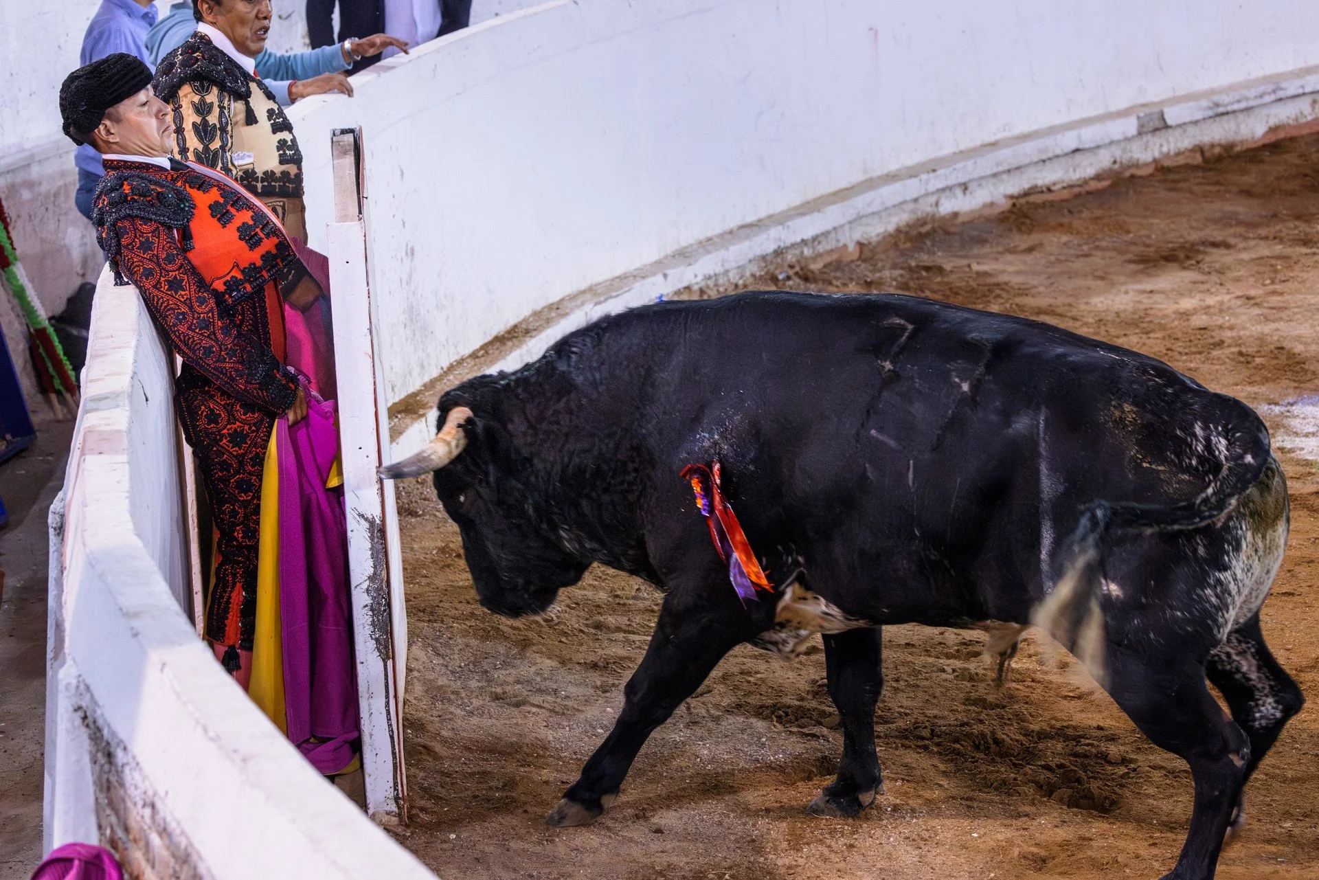 20230929 Plaza de Toros bullfight SMA 254-Enhanced-NR.jpeg