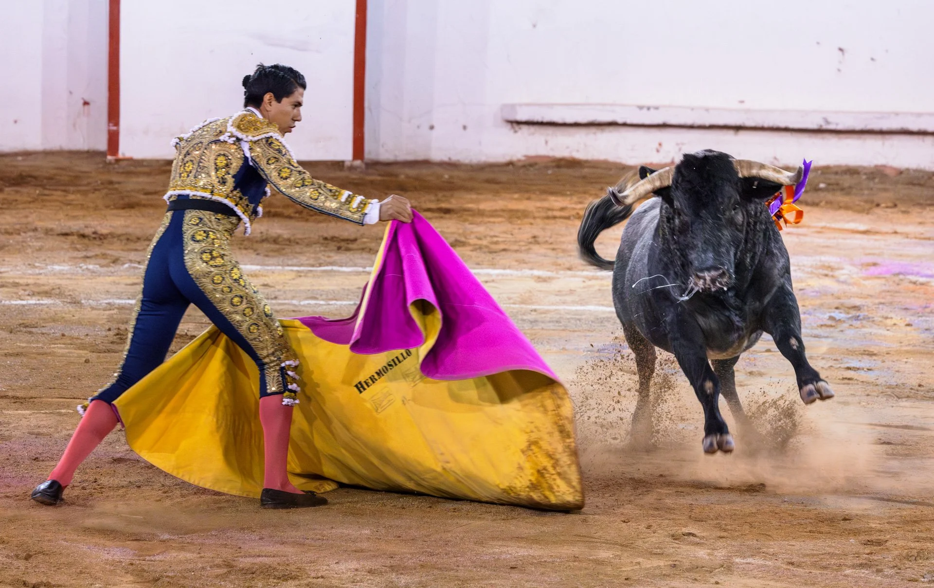 20230929 Plaza de Toros bullfight SMA 157-Enhanced-NR.jpeg