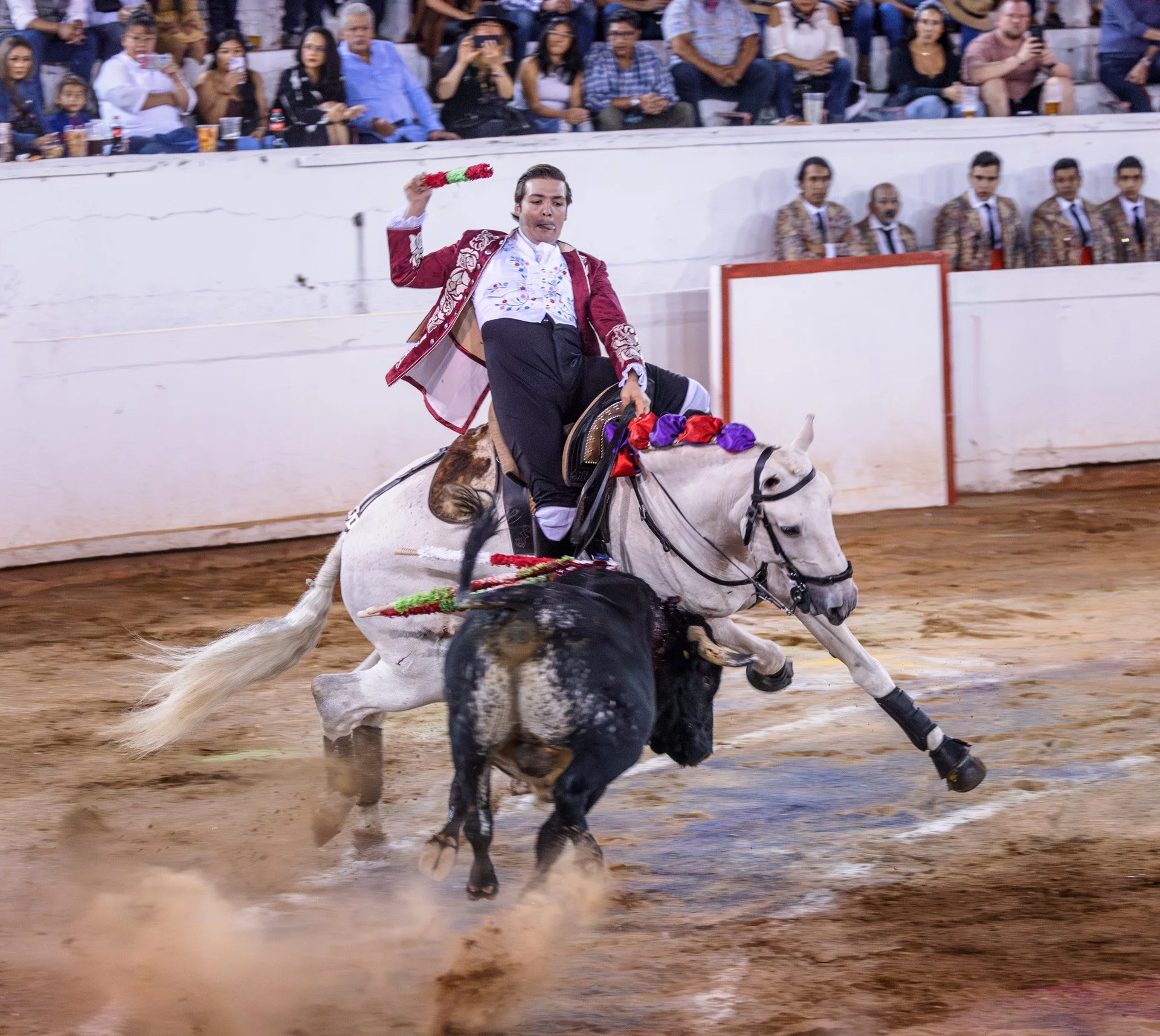20230929 Plaza de Toros bullfight SMA 245-Enhanced-NR.jpeg
