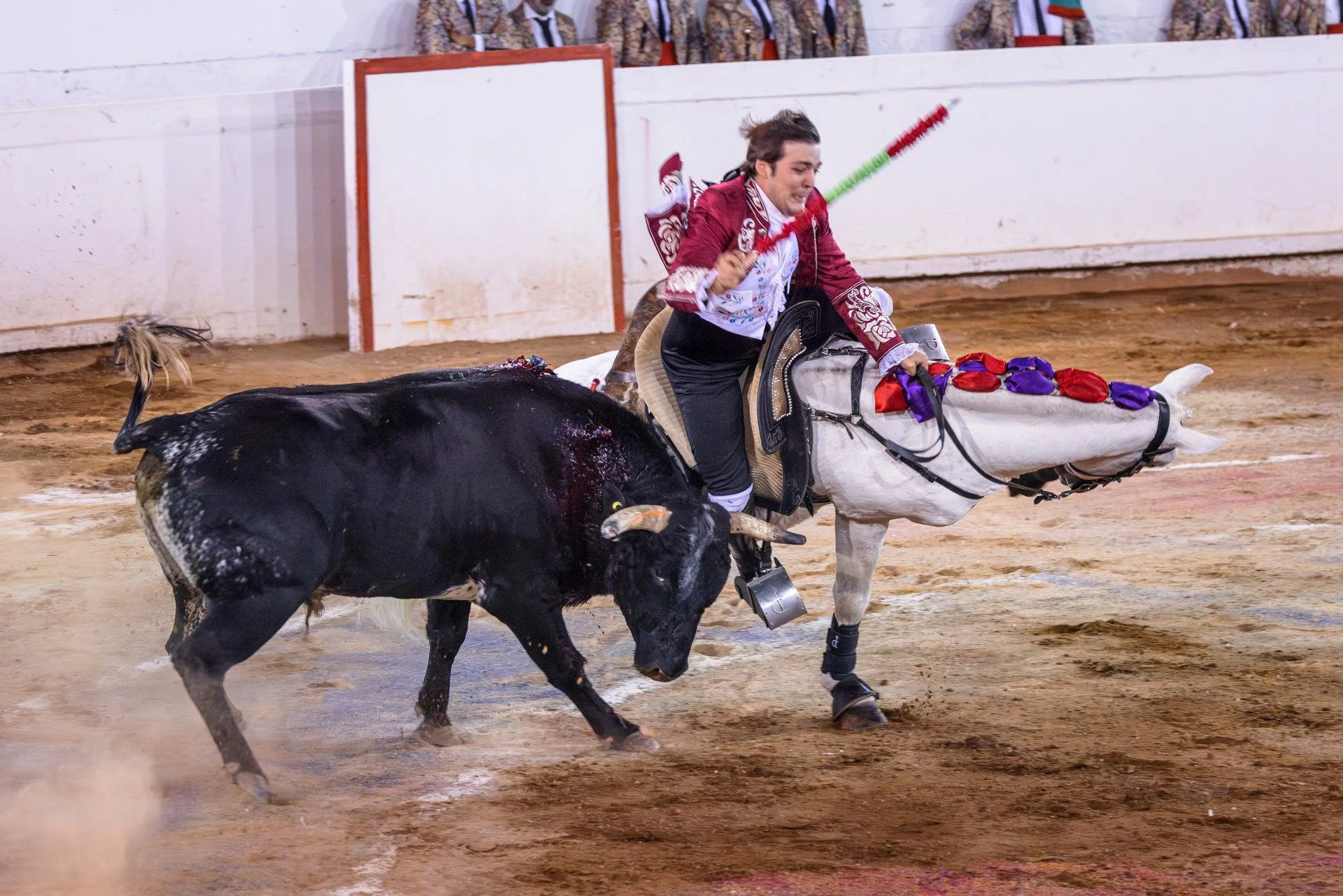 20230929 Plaza de Toros bullfight SMA 241-Enhanced-NR.jpeg