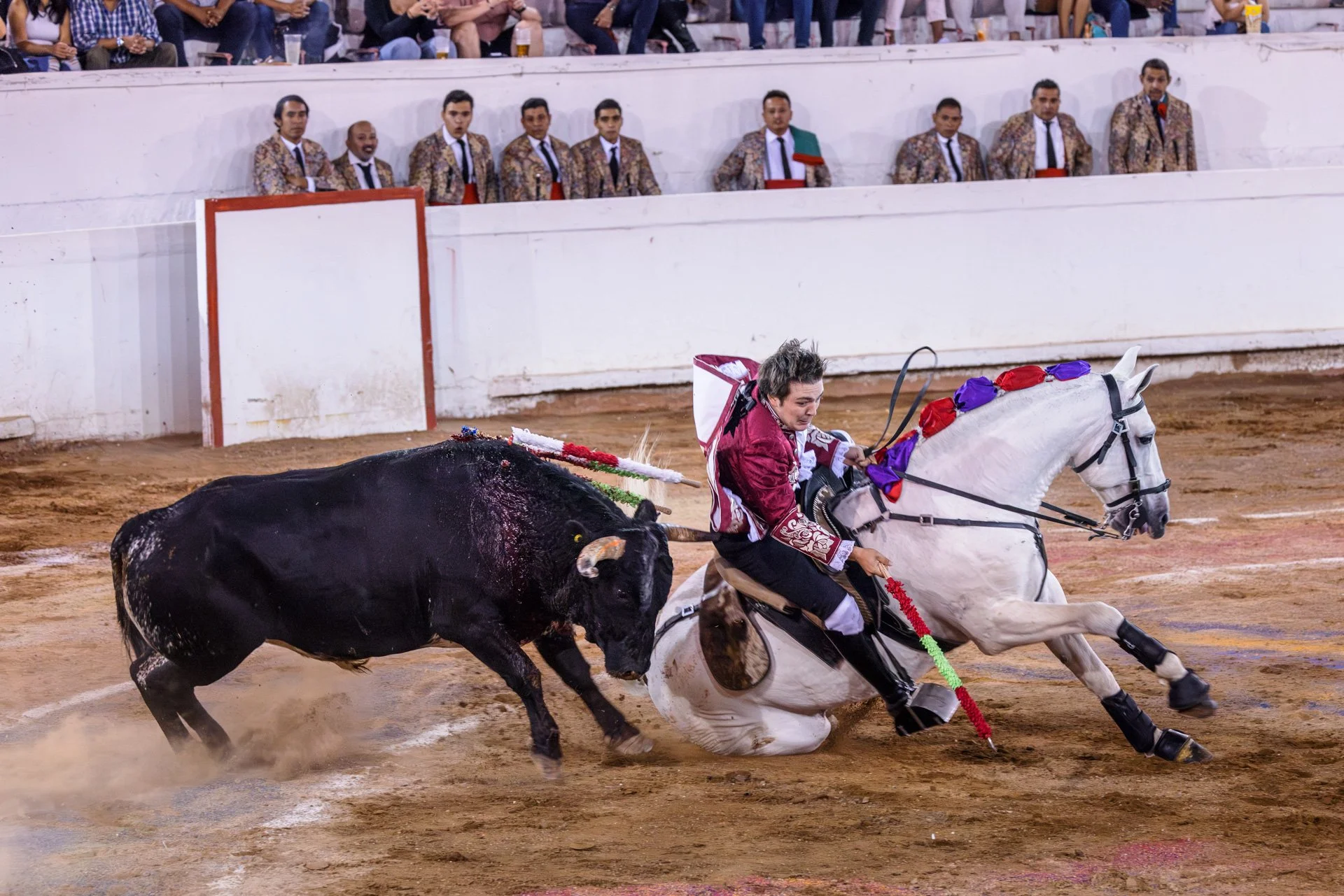 20230929 Plaza de Toros bullfight SMA 237-Enhanced-NR.jpeg