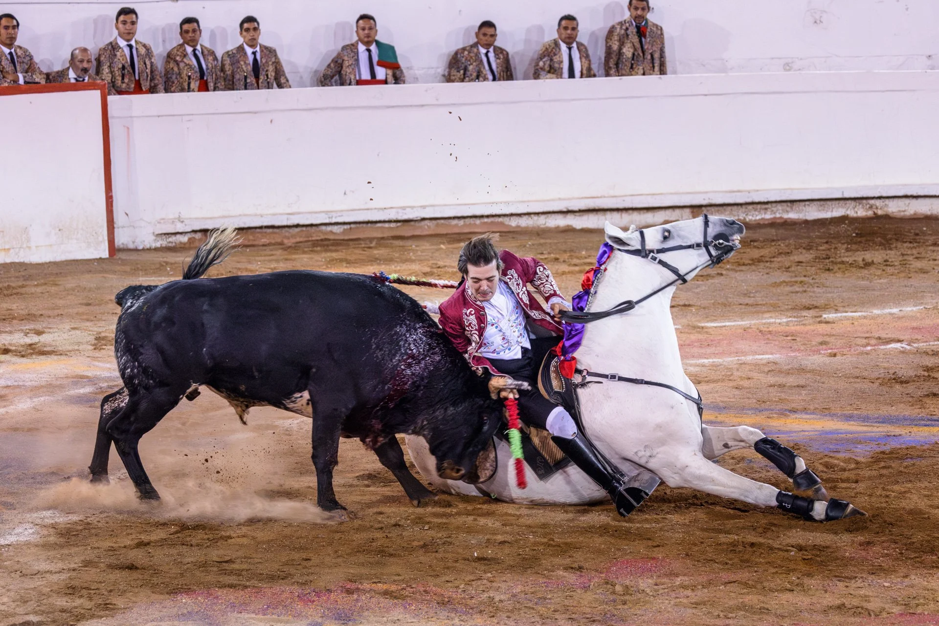 20230929 Plaza de Toros bullfight SMA 233-Enhanced-NR.jpeg