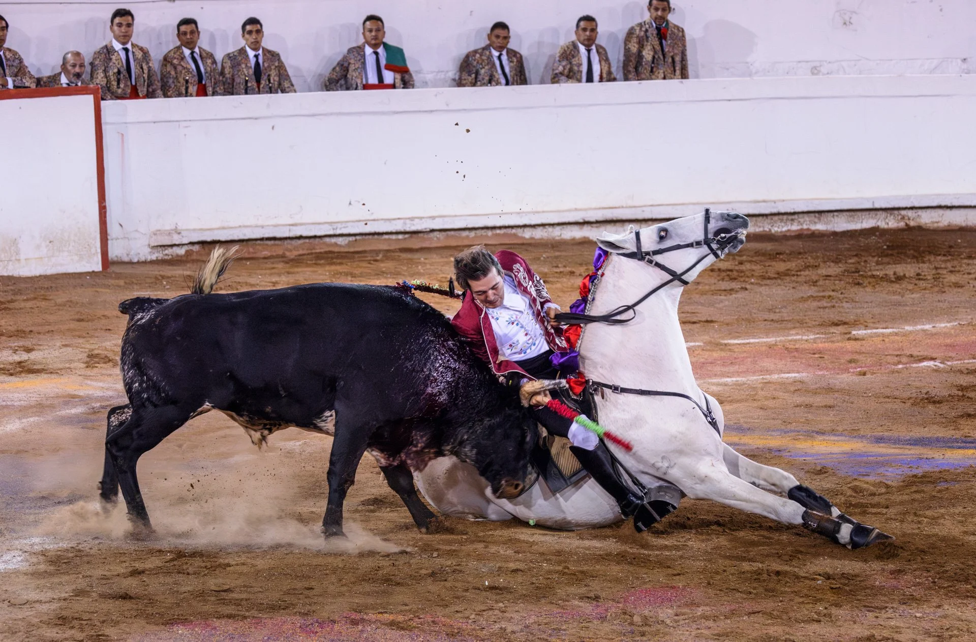 20230929 Plaza de Toros bullfight SMA 232-Enhanced-NR.jpeg