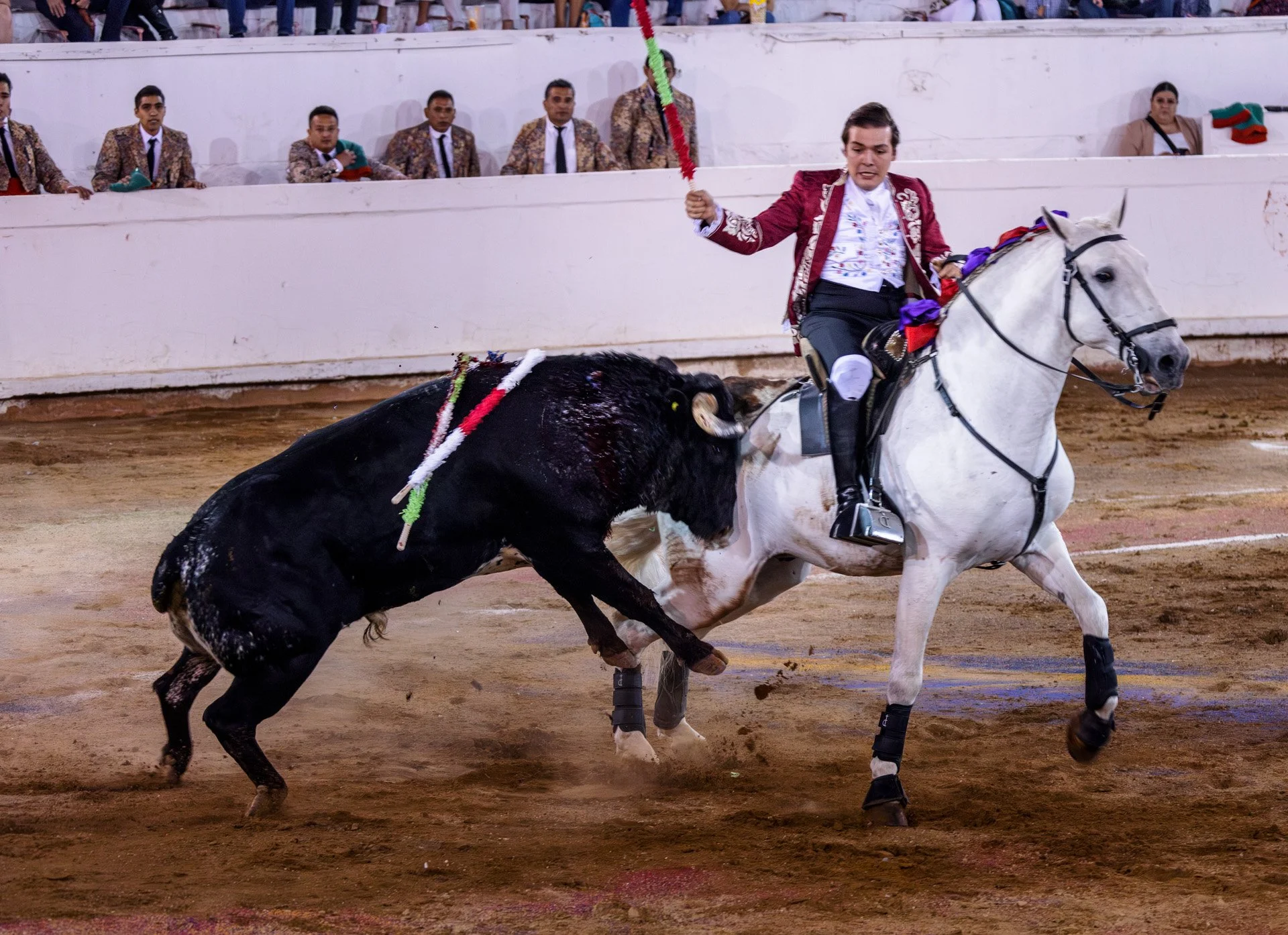 20230929 Plaza de Toros bullfight SMA 227-Enhanced-NR.jpeg