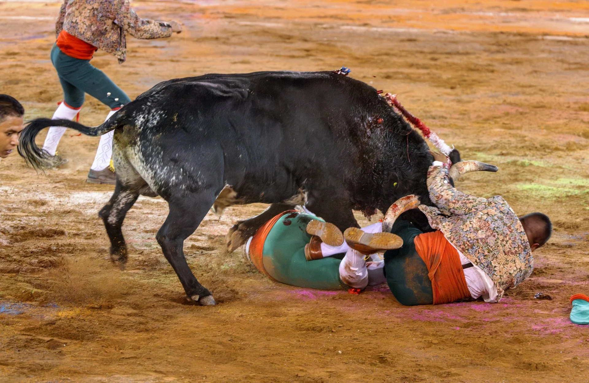 20230929 Plaza de Toros bullfight SMA 216-Enhanced-NR.jpeg