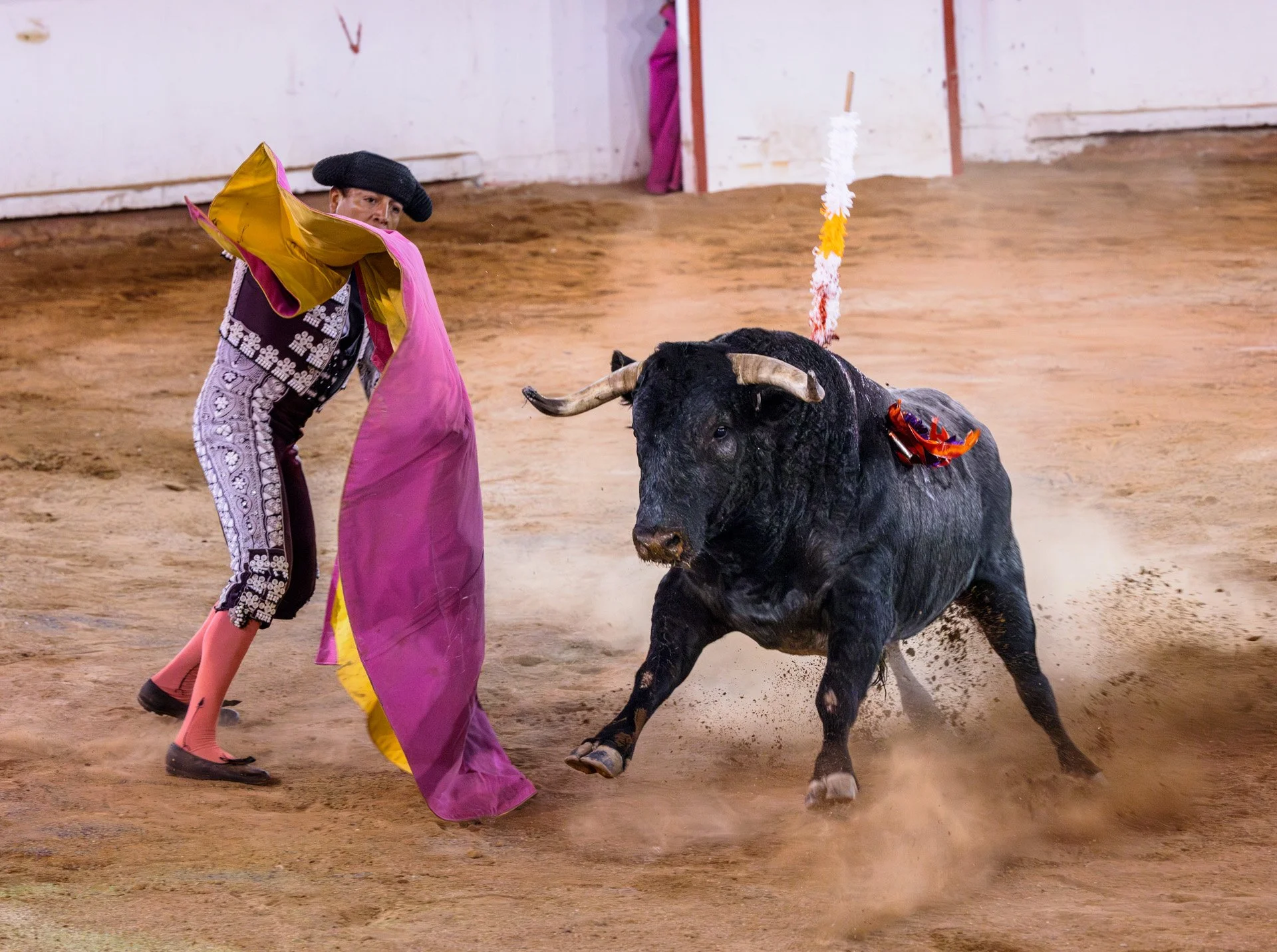 20230929 Plaza de Toros bullfight SMA 154-Enhanced-NR.jpeg