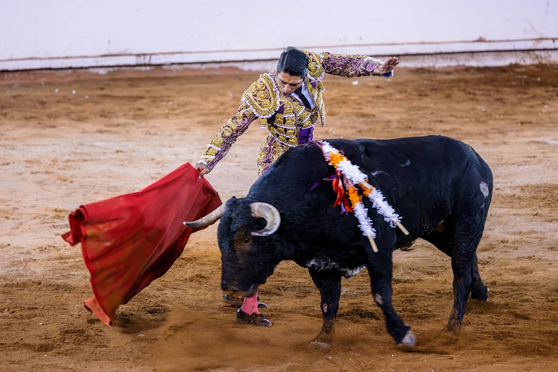 20230929 Plaza de Toros bullfight SMA 080-Enhanced-NR.jpeg