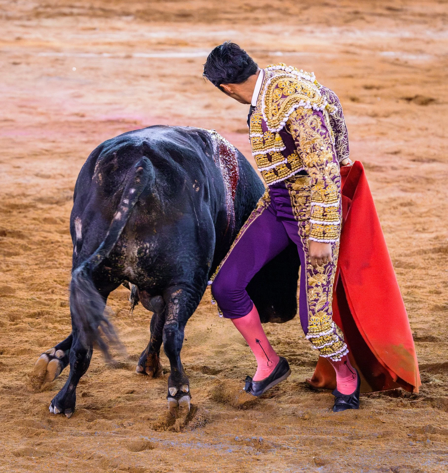 20230929 Plaza de Toros bullfight SMA 077-Enhanced-NR.jpeg