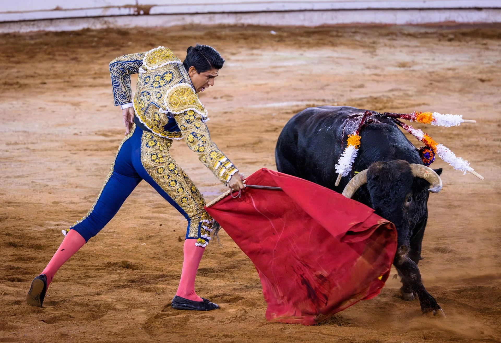 20230929 Plaza de Toros bullfight SMA 052-Enhanced-NR.jpeg