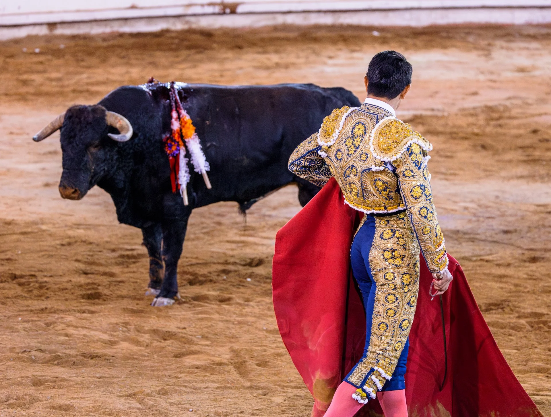 20230929 Plaza de Toros bullfight SMA 044-Enhanced-NR.jpeg