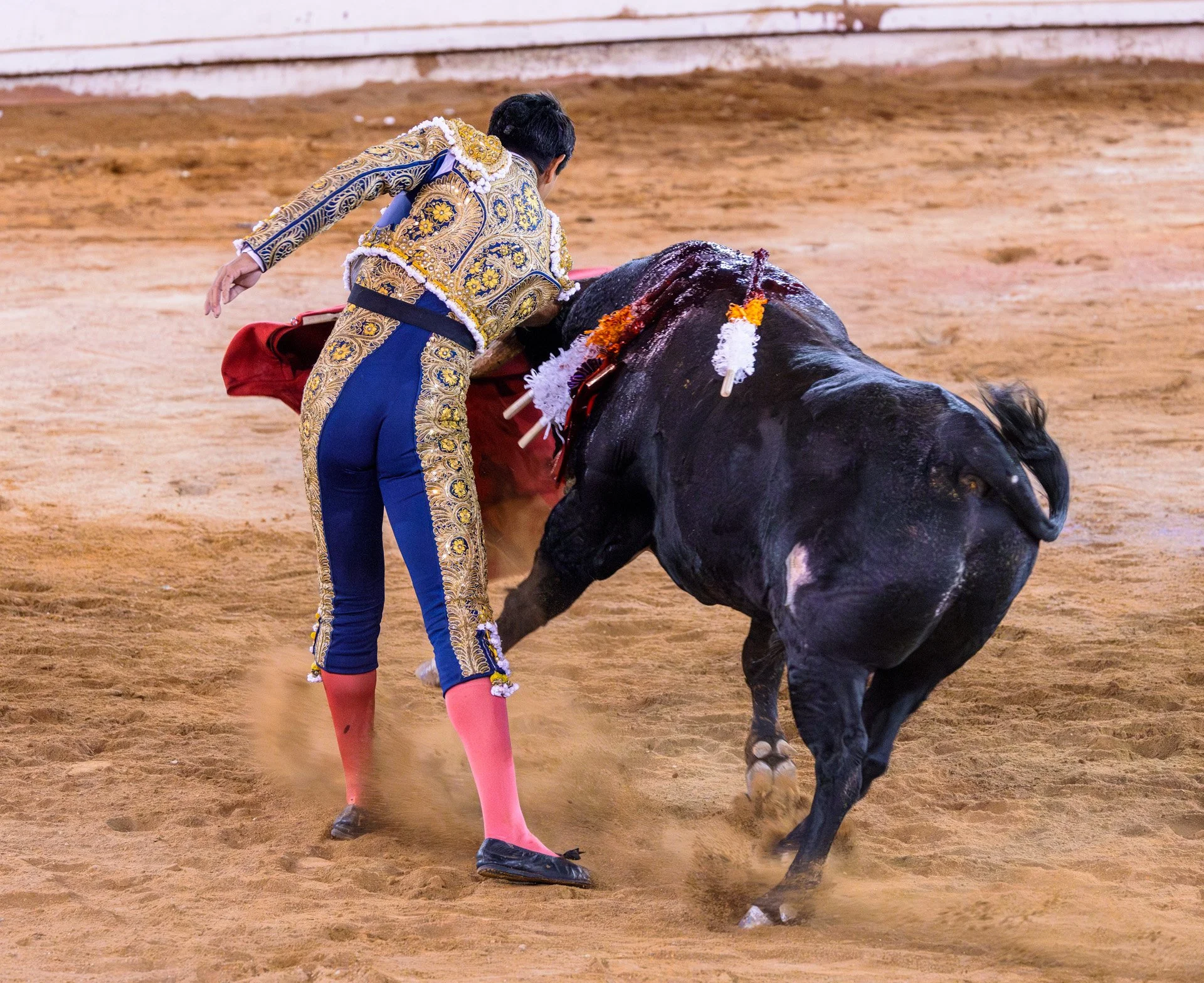 20230929 Plaza de Toros bullfight SMA 034-Enhanced-NR.jpeg