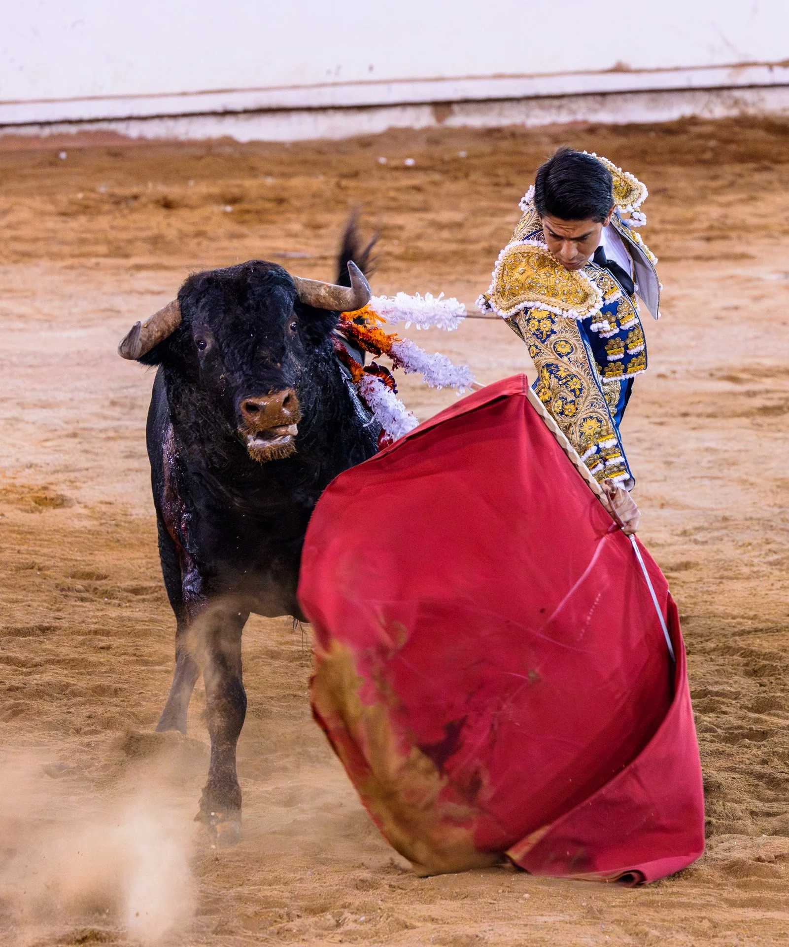 20230929 Plaza de Toros bullfight SMA 033-Enhanced-NR.jpeg