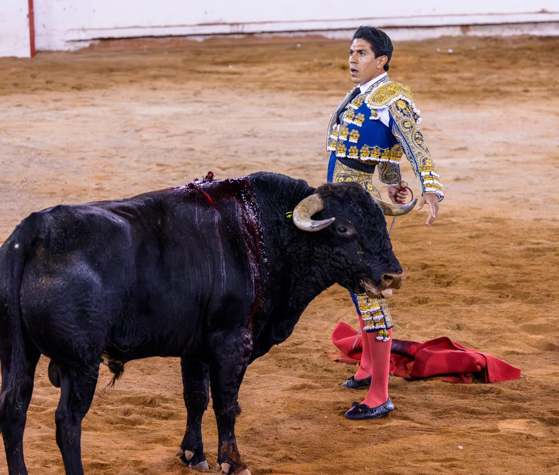 20230929 Plaza de Toros bullfight SMA 030-Enhanced-NR.jpeg