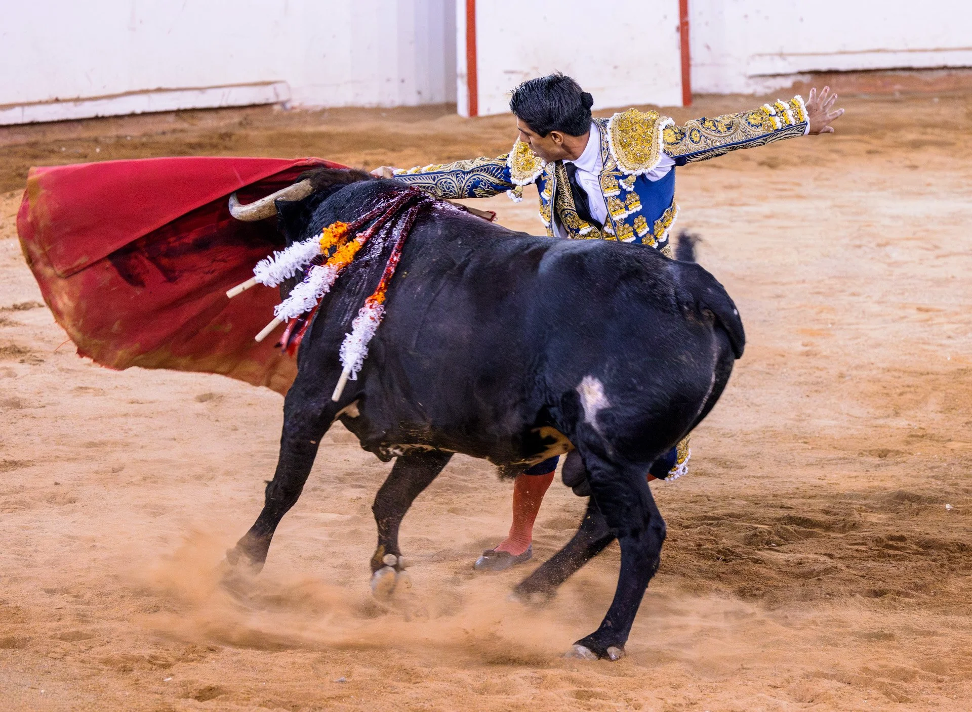 20230929 Plaza de Toros bullfight SMA 028-Enhanced-NR.jpeg