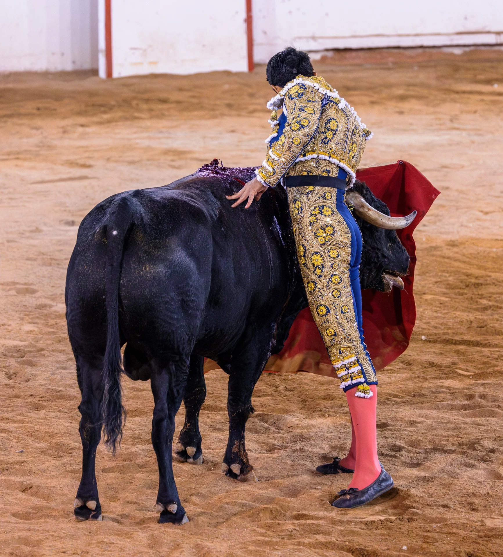 20230929 Plaza de Toros bullfight SMA 026-Enhanced-NR.jpeg