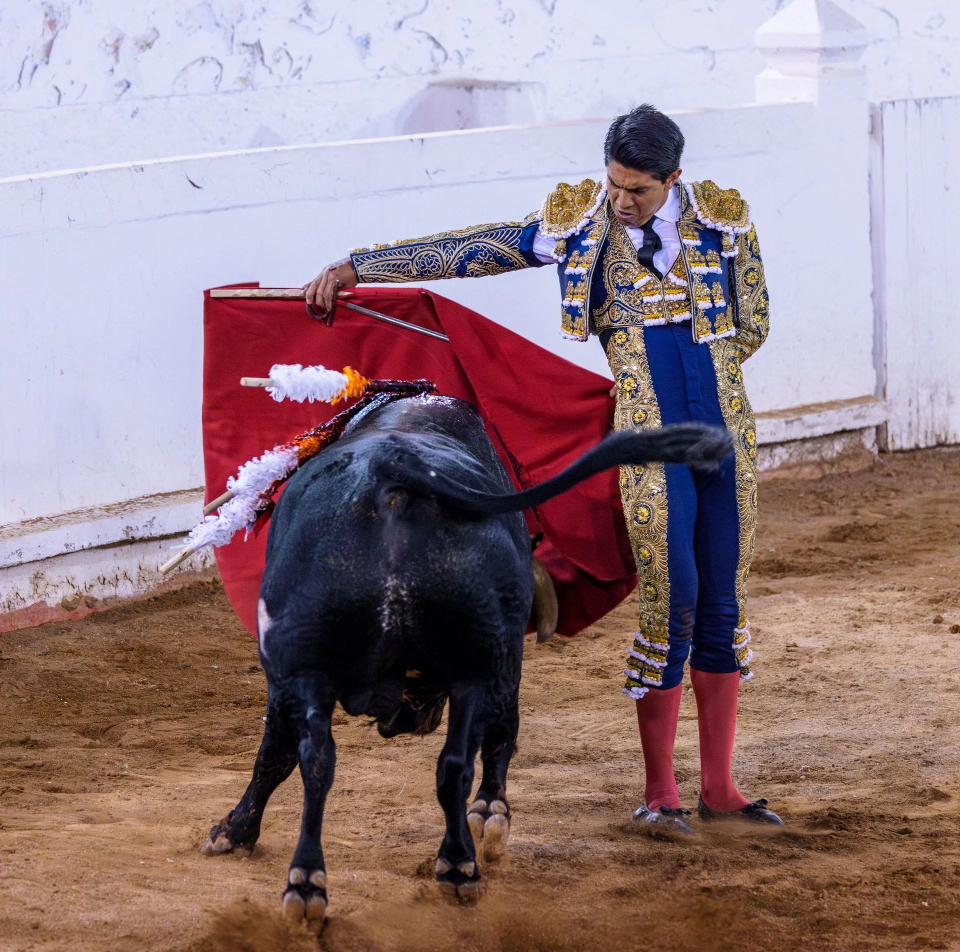 20230929 Plaza de Toros bullfight SMA 016-Enhanced-NR.jpeg