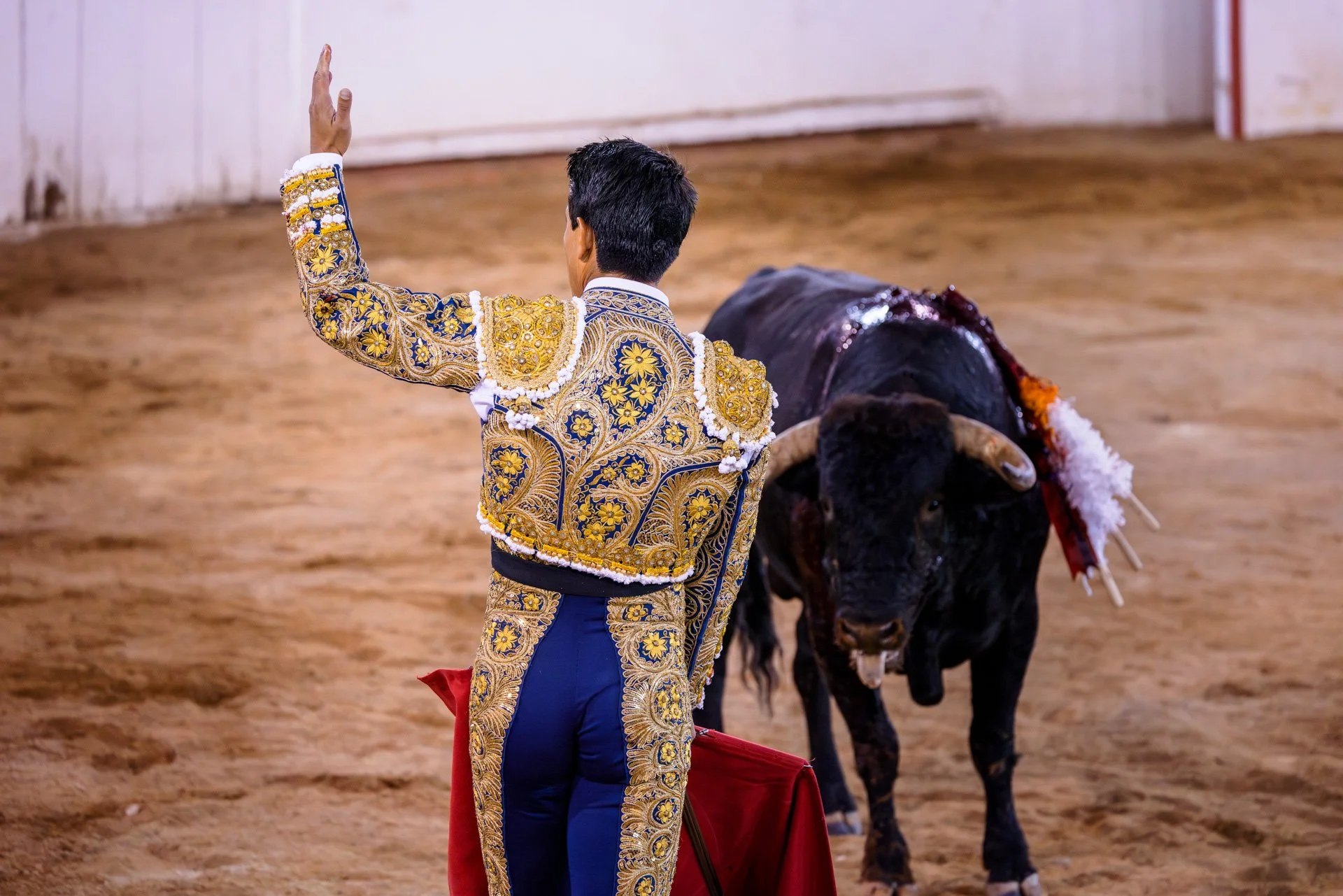 20230929 Plaza de Toros bullfight SMA 013-Enhanced-NR.jpeg
