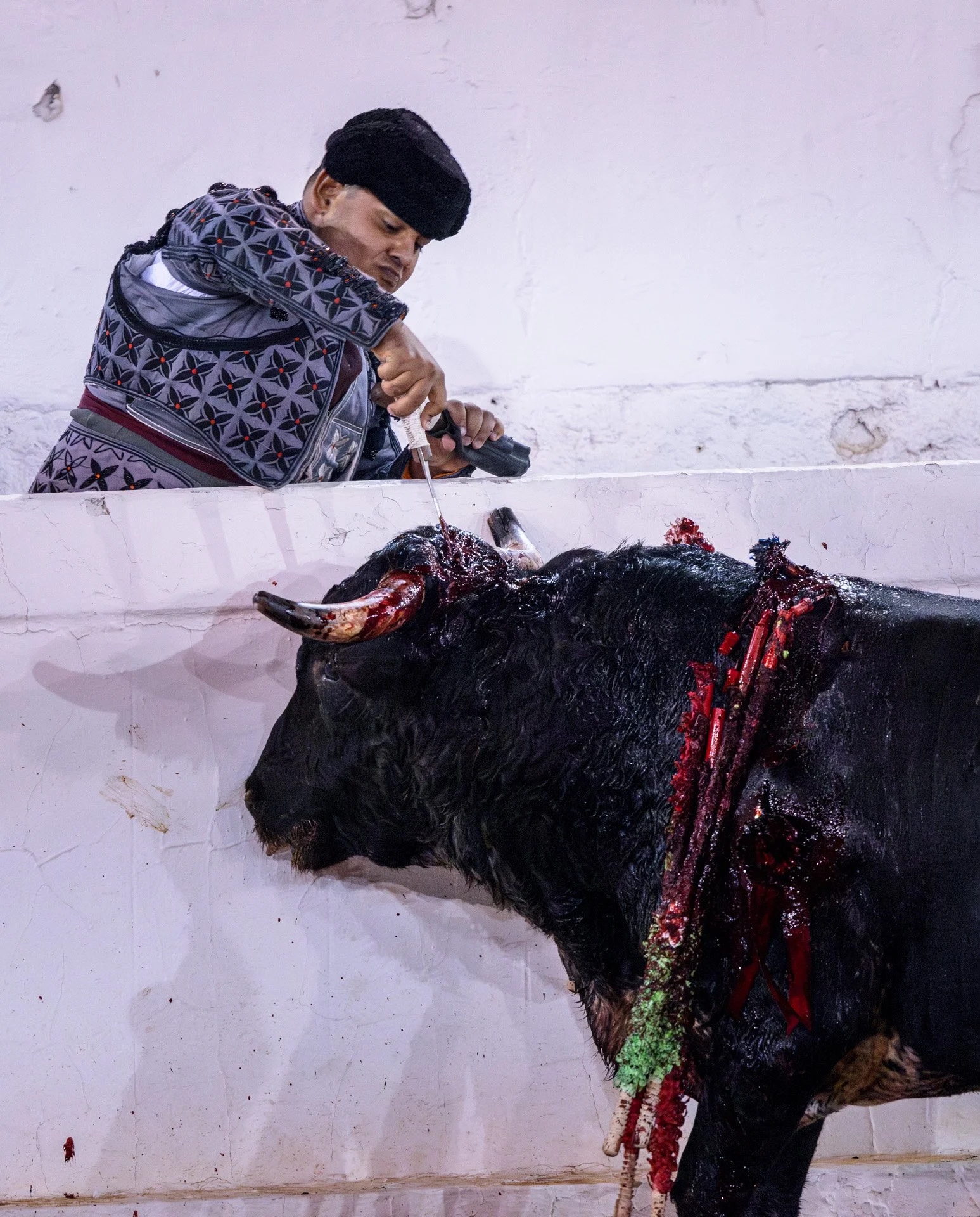 20230929 Plaza de Toros bullfight SMA 201-Enhanced-NR.jpeg