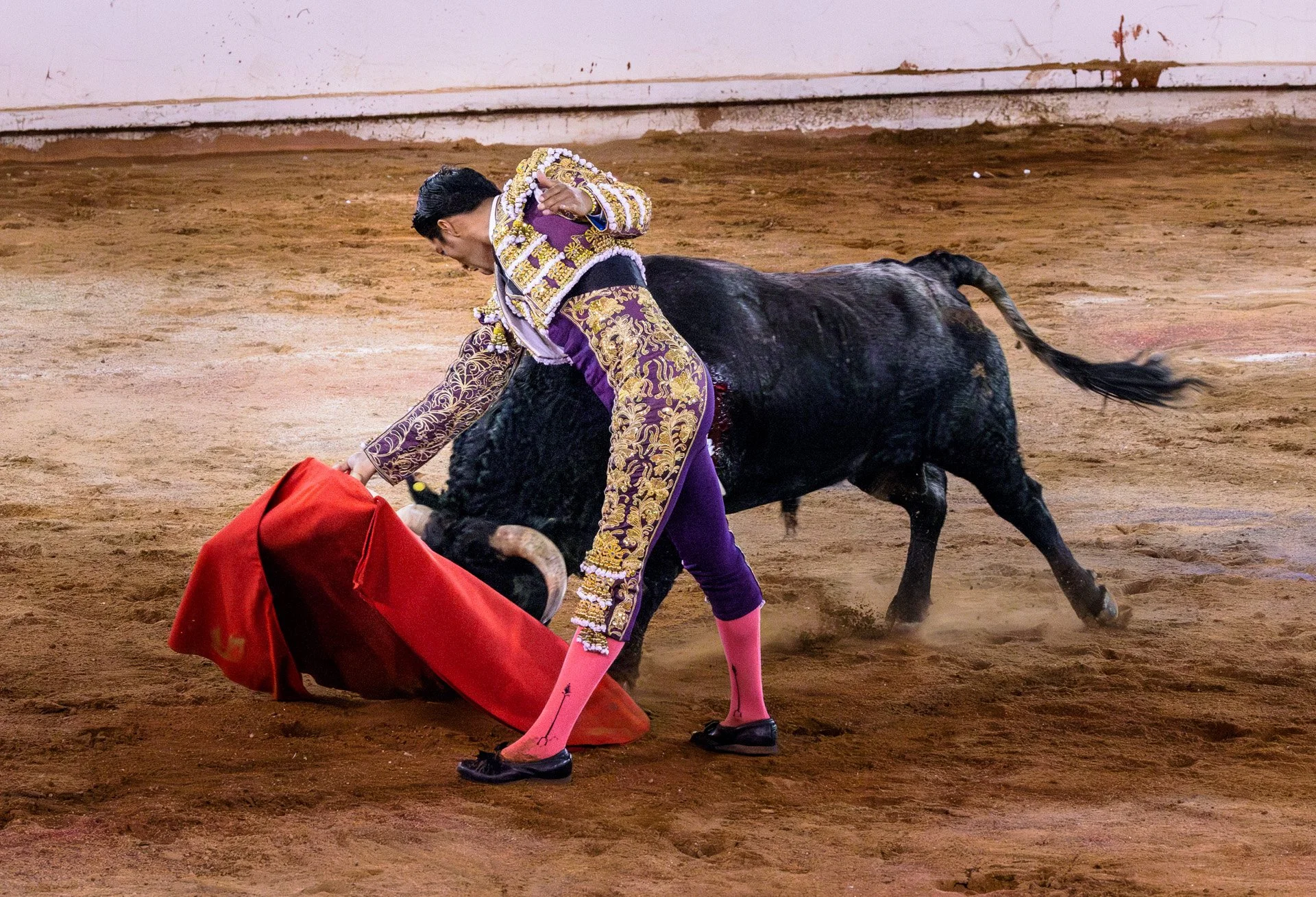 20230929 Plaza de Toros bullfight SMA 185-Enhanced-NR.jpeg